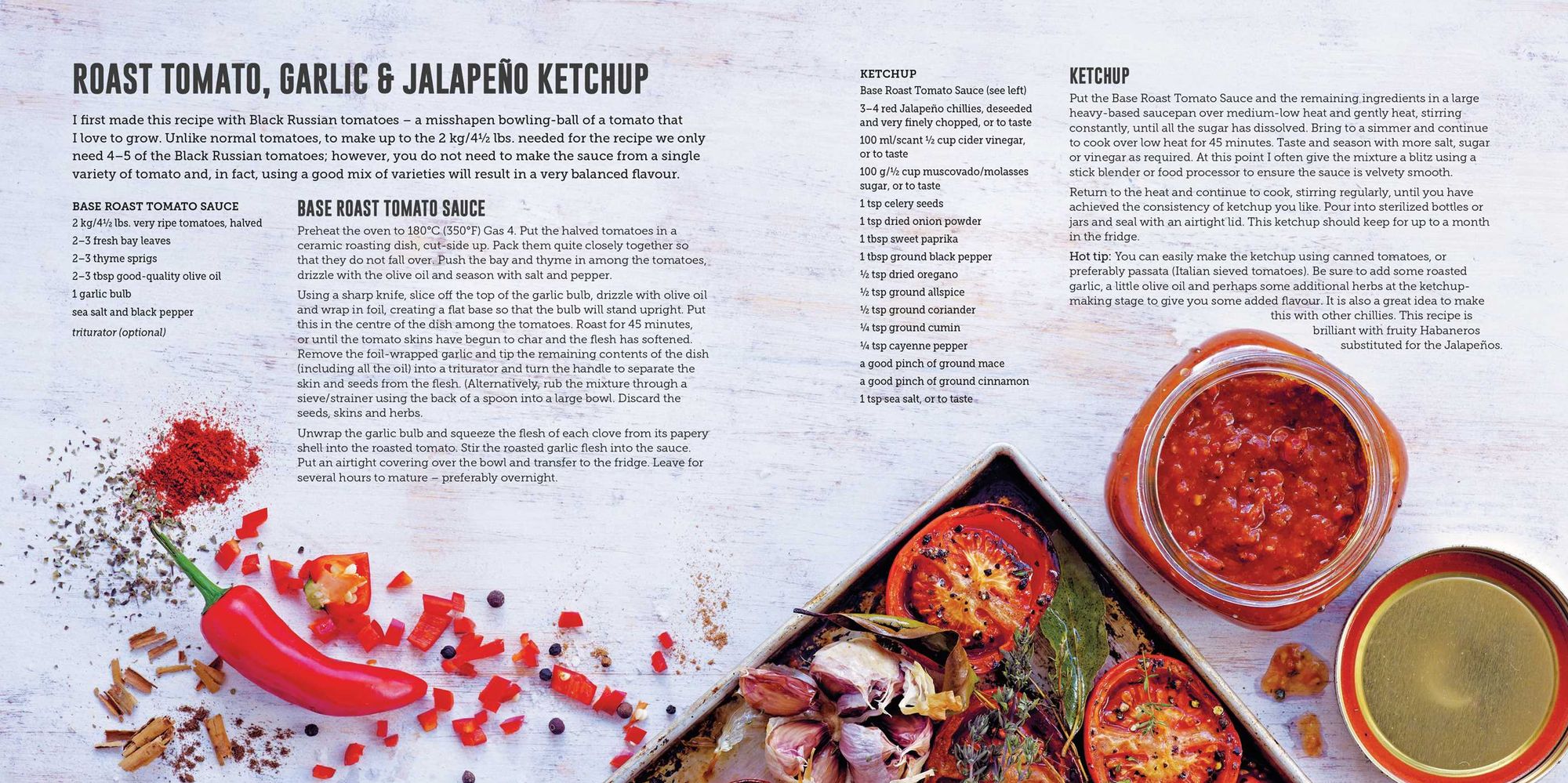 Hot Sauce: Fiery recipes for drizzling, dipping & marinating
