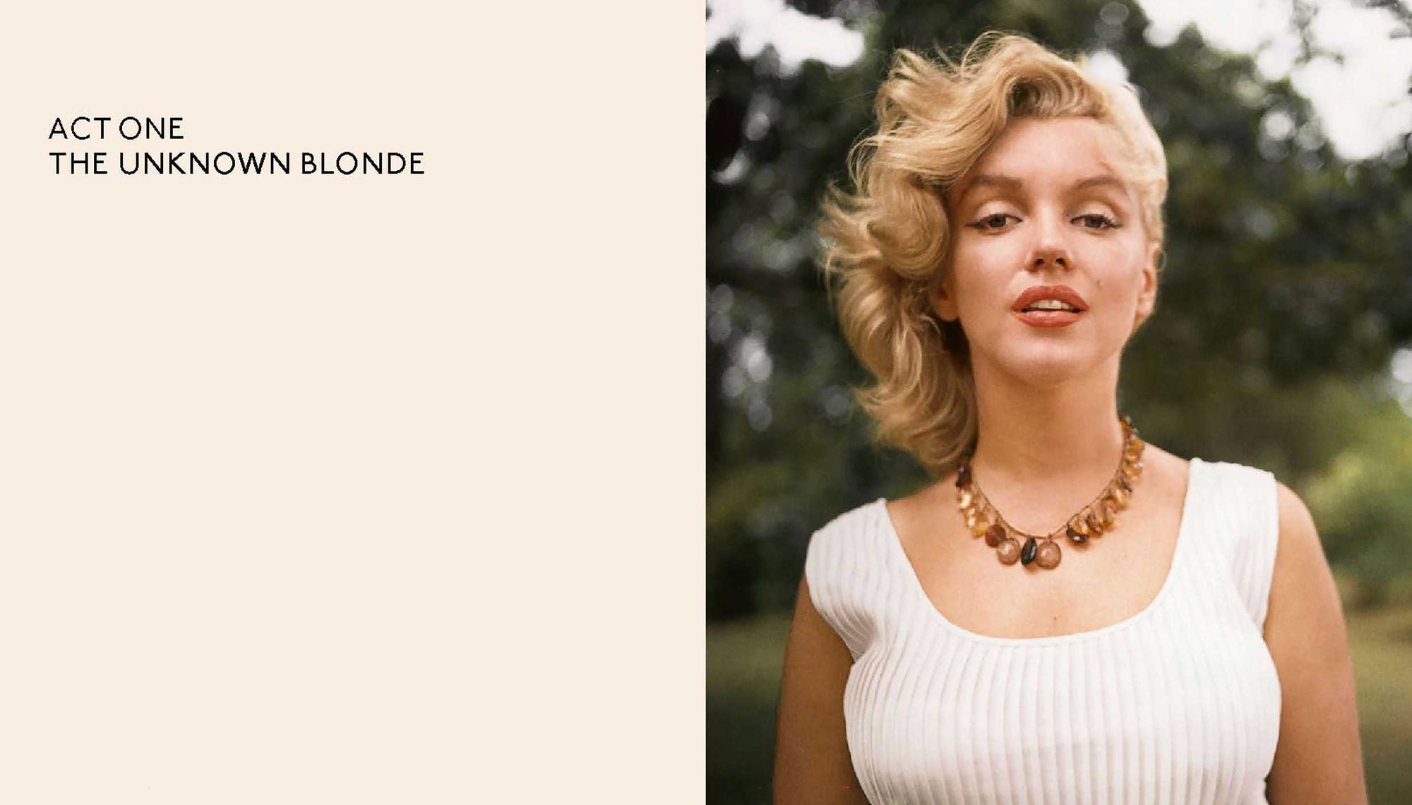Dear Marilyn: The Unseen Letters and Photographs
