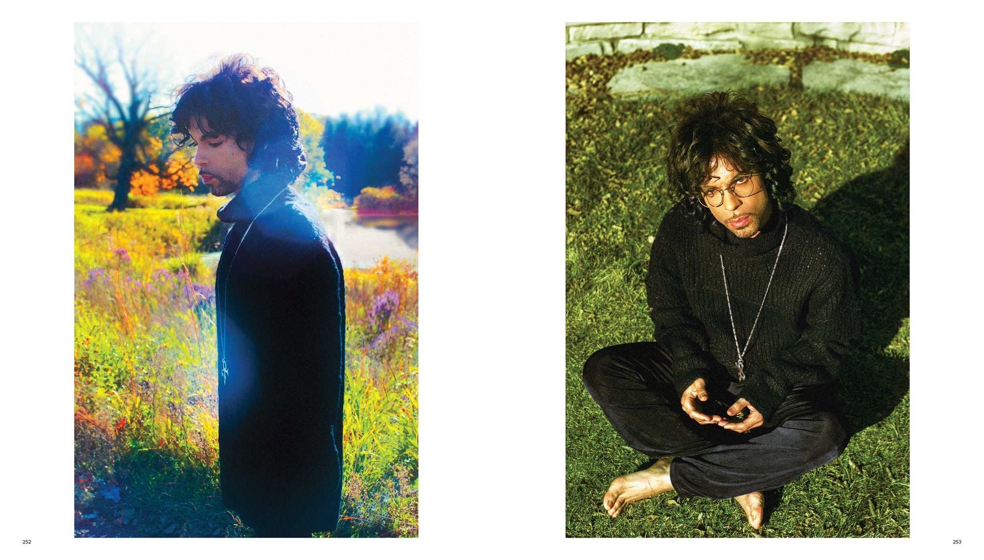 Prince: Black, White, Color