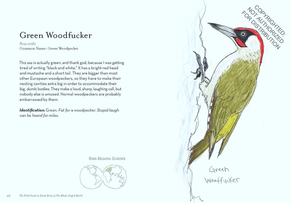 The Field Guide to Dumb Birds of the Whole Stupid World