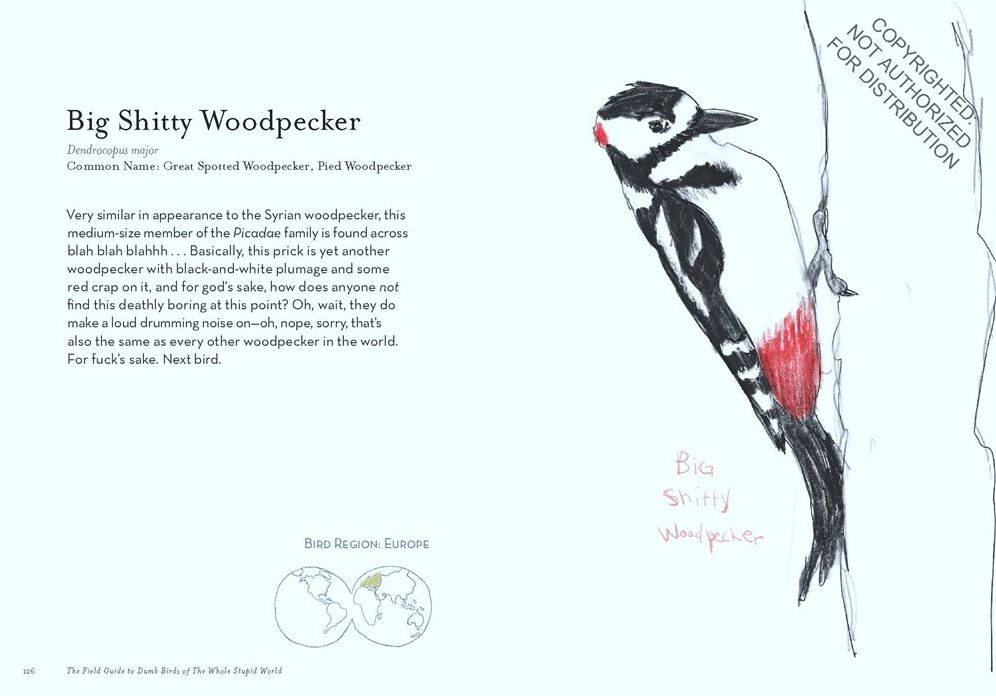 The Field Guide to Dumb Birds of the Whole Stupid World
