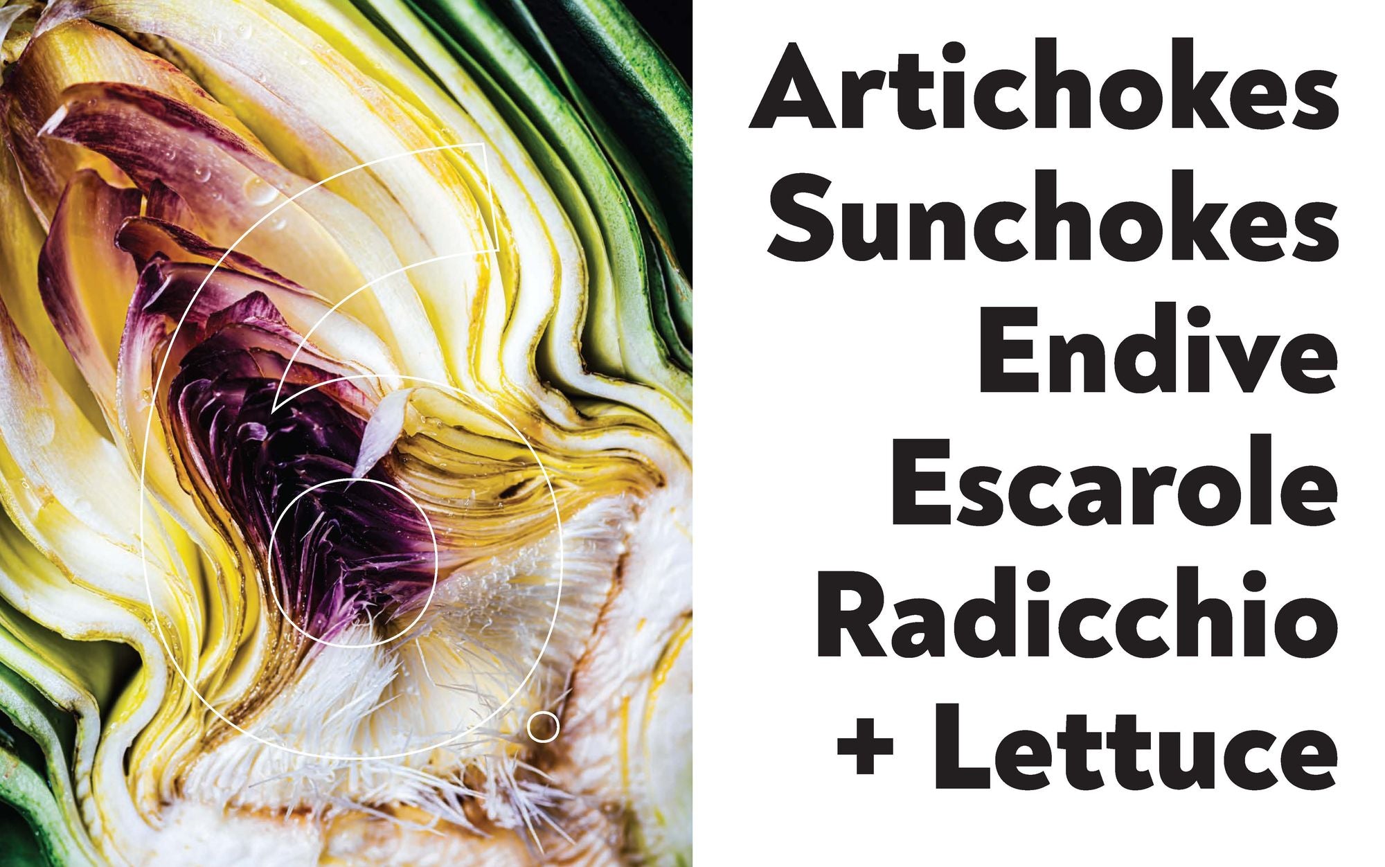 Veg-table: Recipes, Techniques, and Plant Science for Big-Flavored, Vegetable-Focused Meals