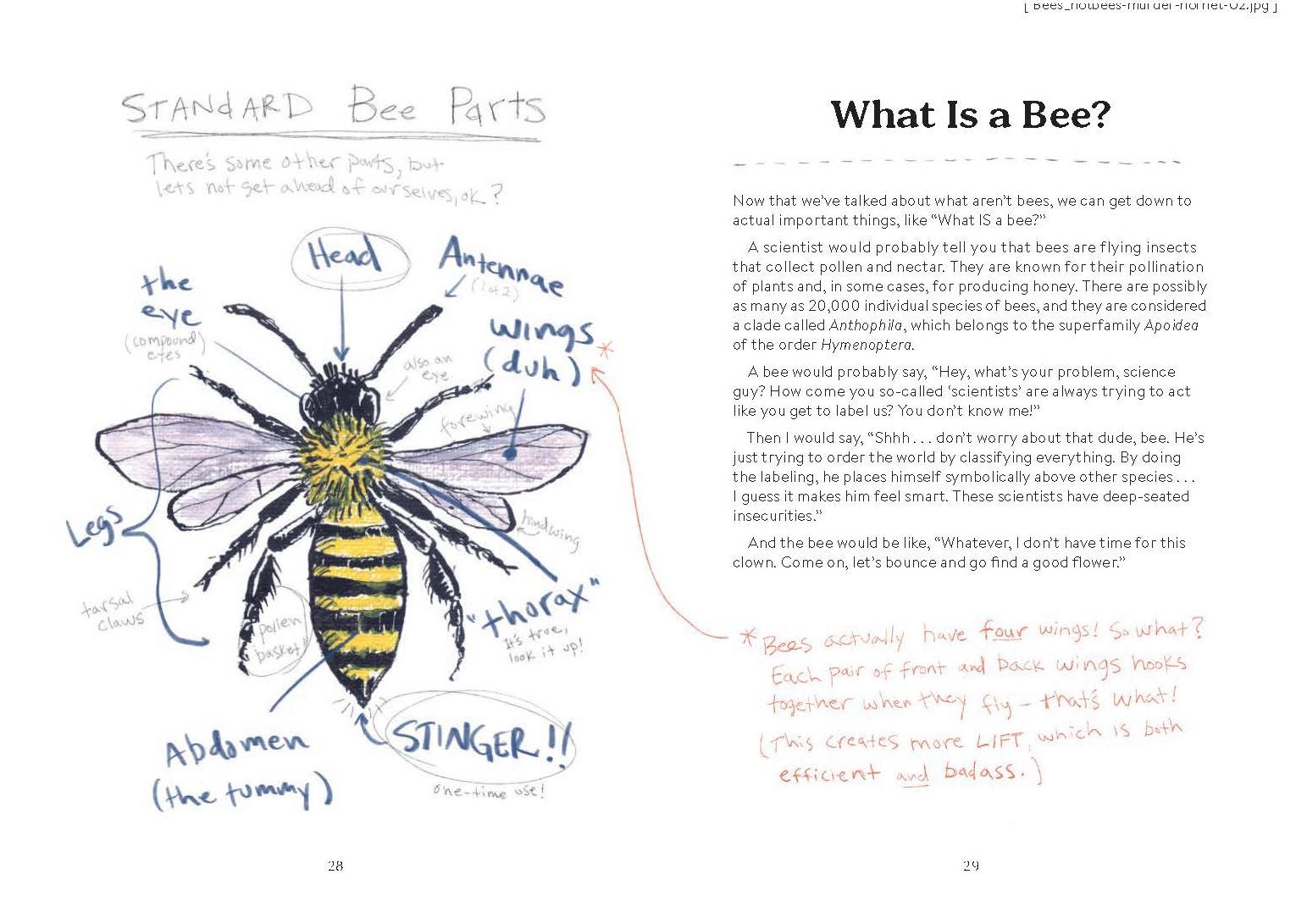 OMFG, BEES!: Bees Are So Amazing and You're About to Find Out Why