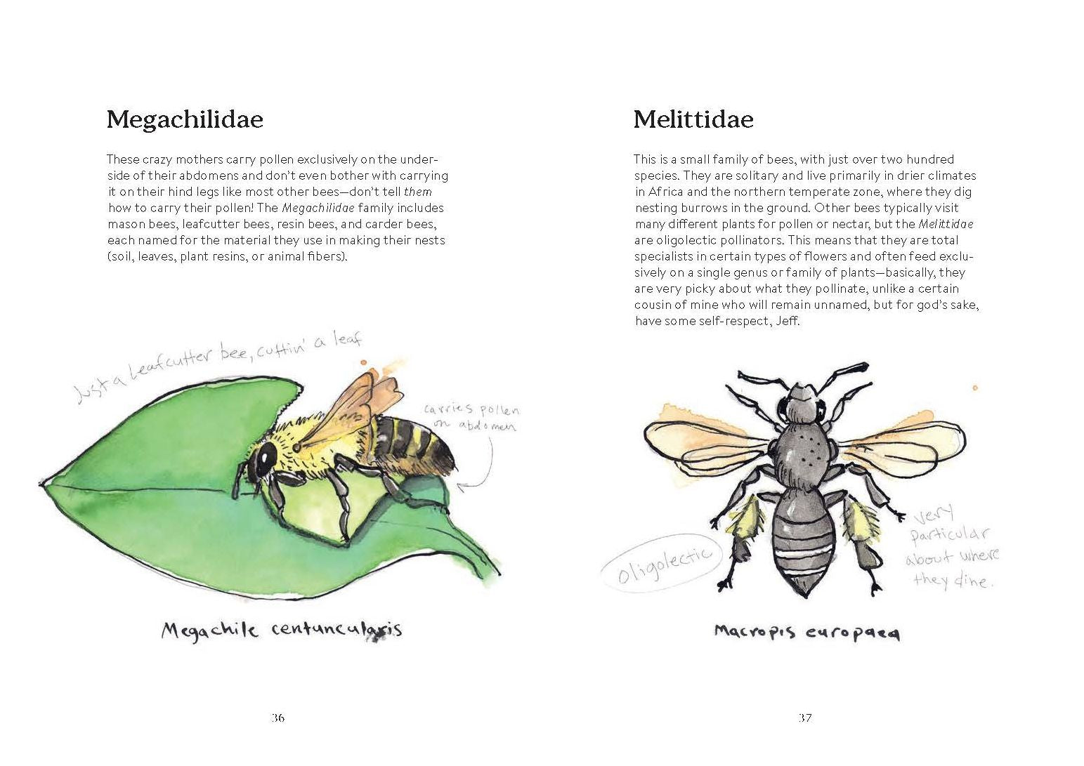 OMFG, BEES!: Bees Are So Amazing and You're About to Find Out Why