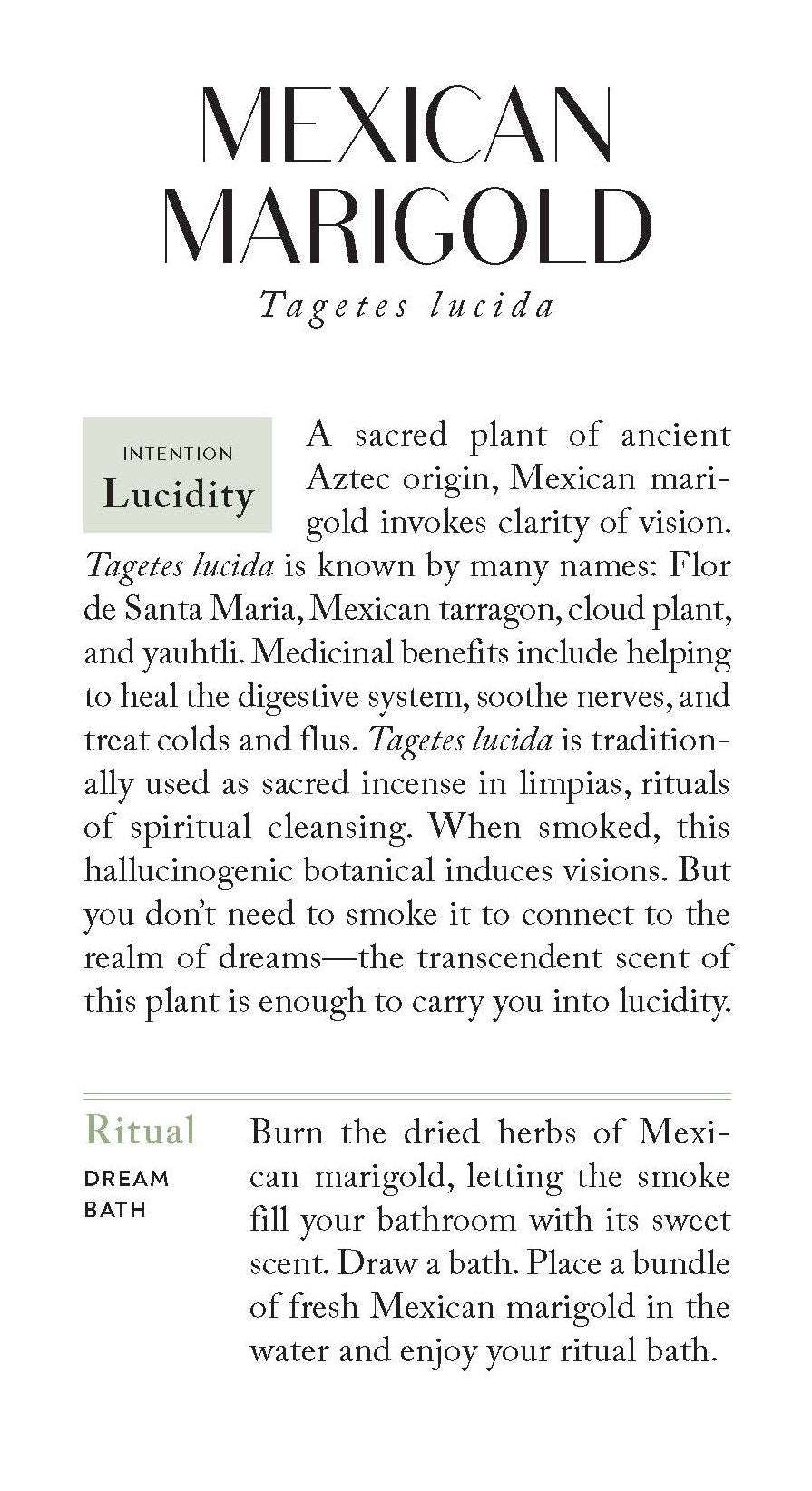 The Botanicals Deck: 70 Plants and Flowers to Enhance Your Life-Plus Herbal Recipes and Rituals