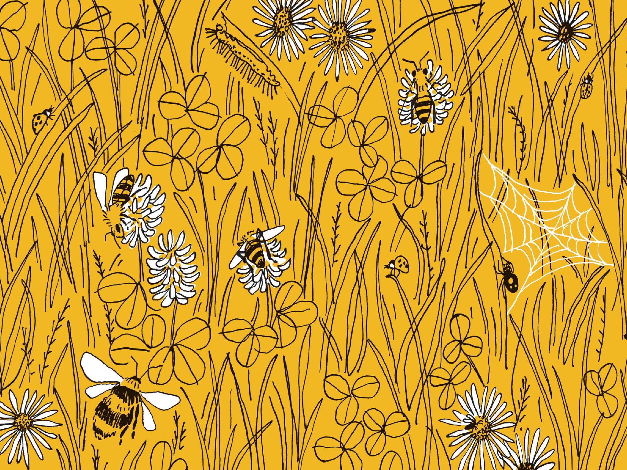 Pocket Nature: Beekeeping: Explore the Marvelous World of Honeybees