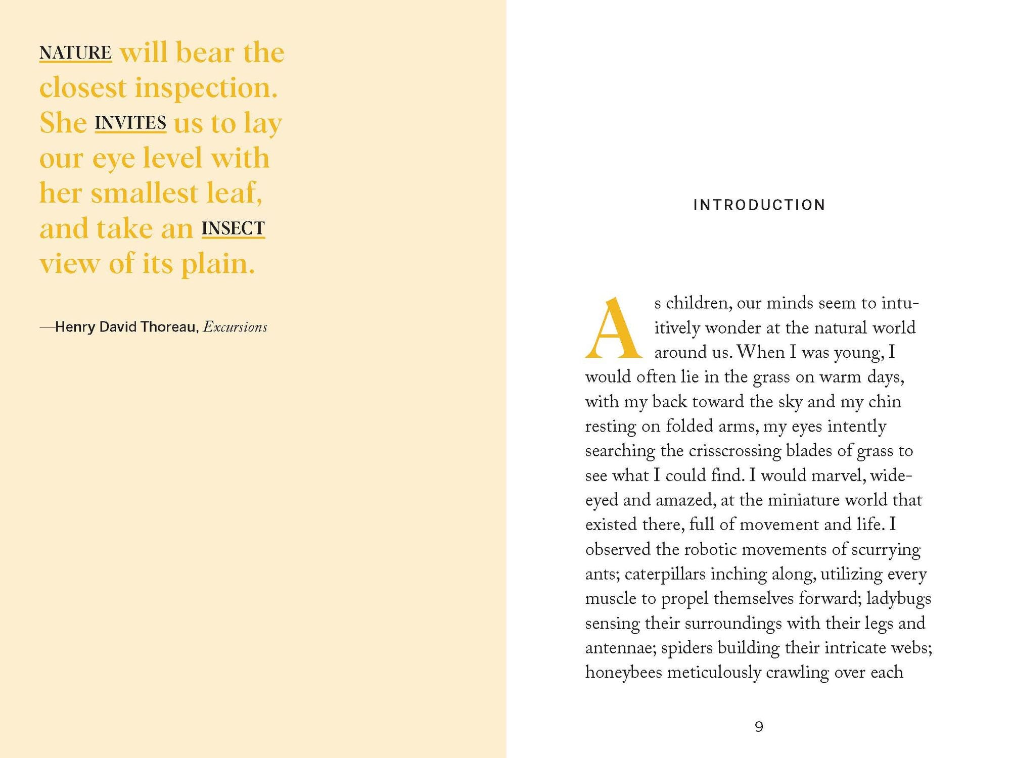 Pocket Nature: Beekeeping: Explore the Marvelous World of Honeybees