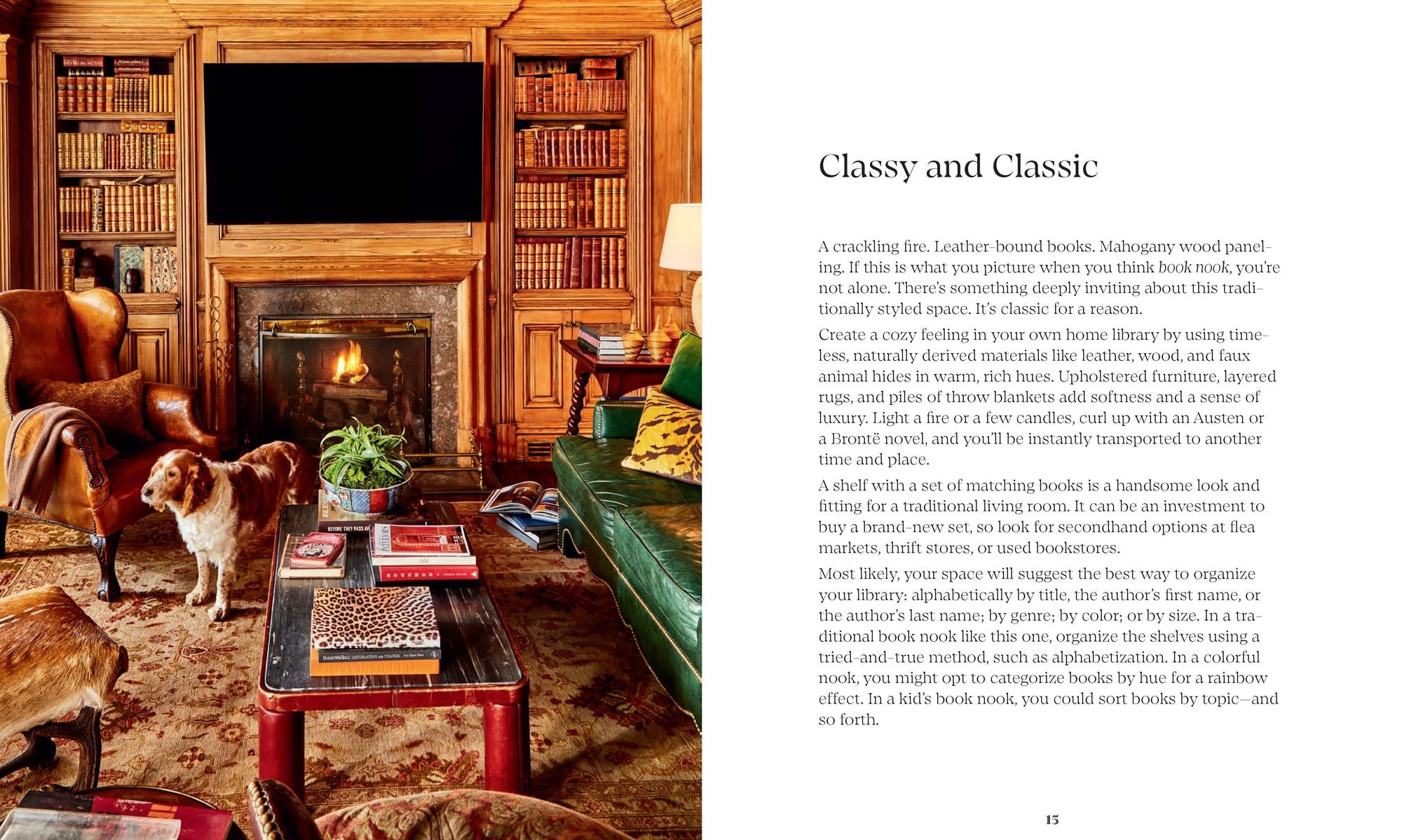 Book Nooks: Inspired Ideas for Cozy Reading Corners and Stylish Book Displays