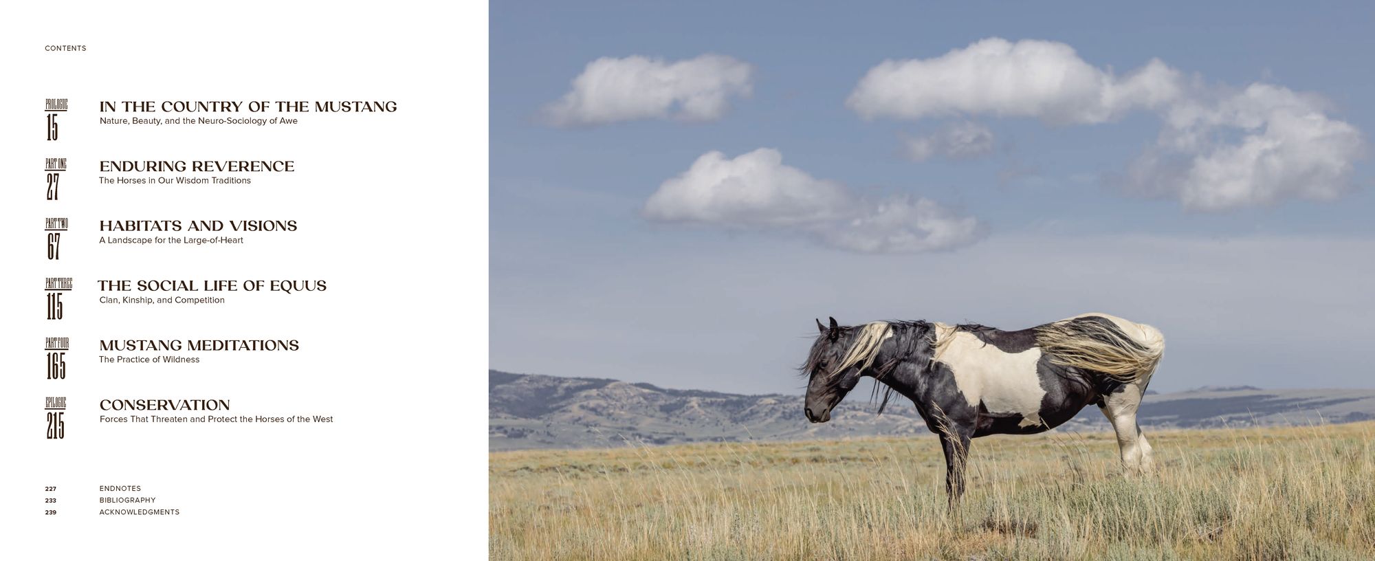 The Wild Horse Effect: Awe, Well-Being, and the Transformative Power of Nature
