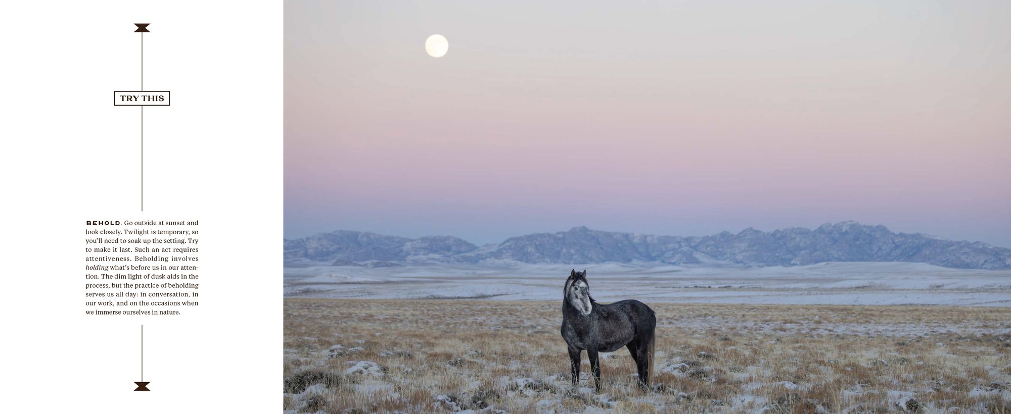 The Wild Horse Effect: Awe, Well-Being, and the Transformative Power of Nature