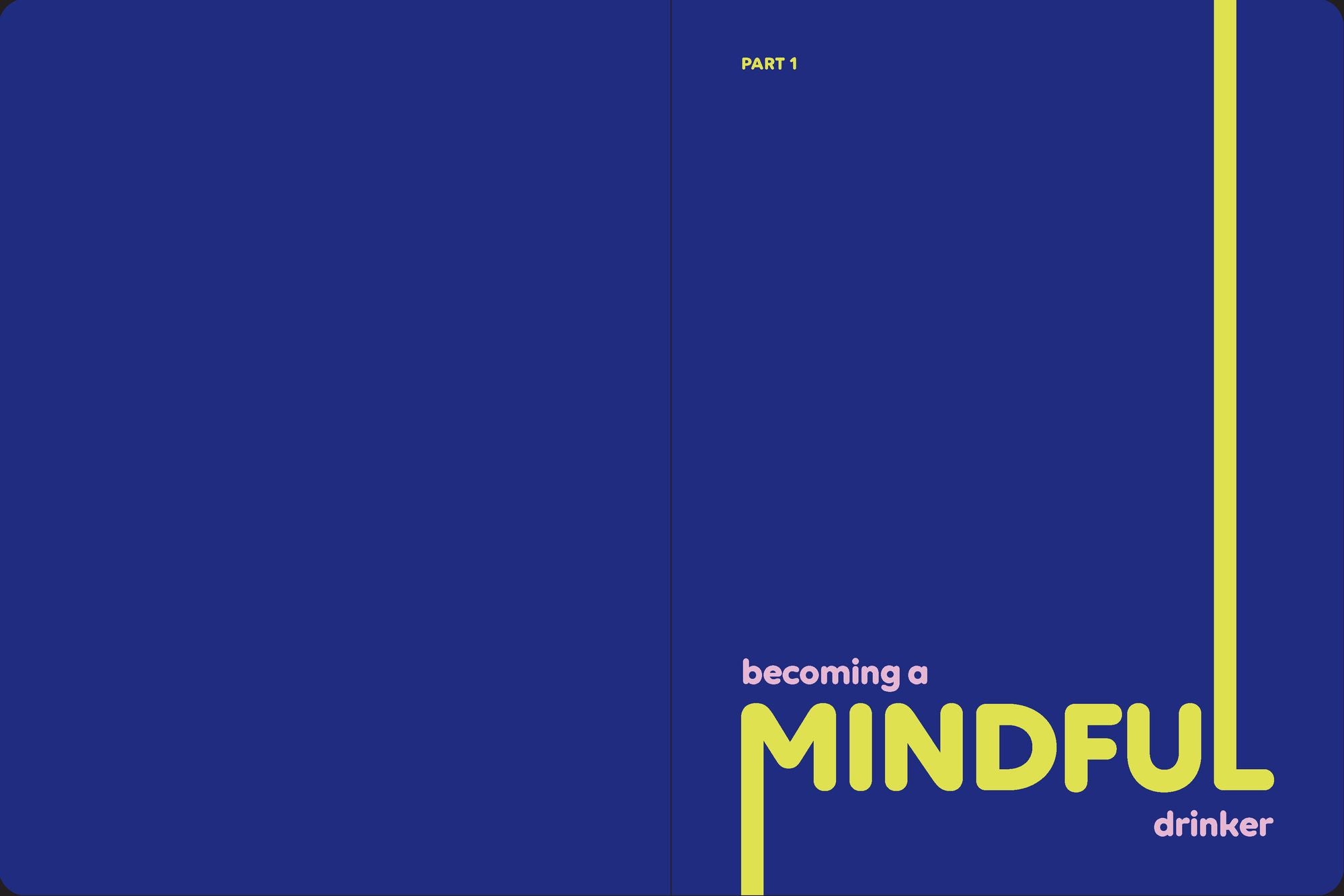 Booze Less: Rethinking Drinking for the Sober & Curious-A Guided Journal