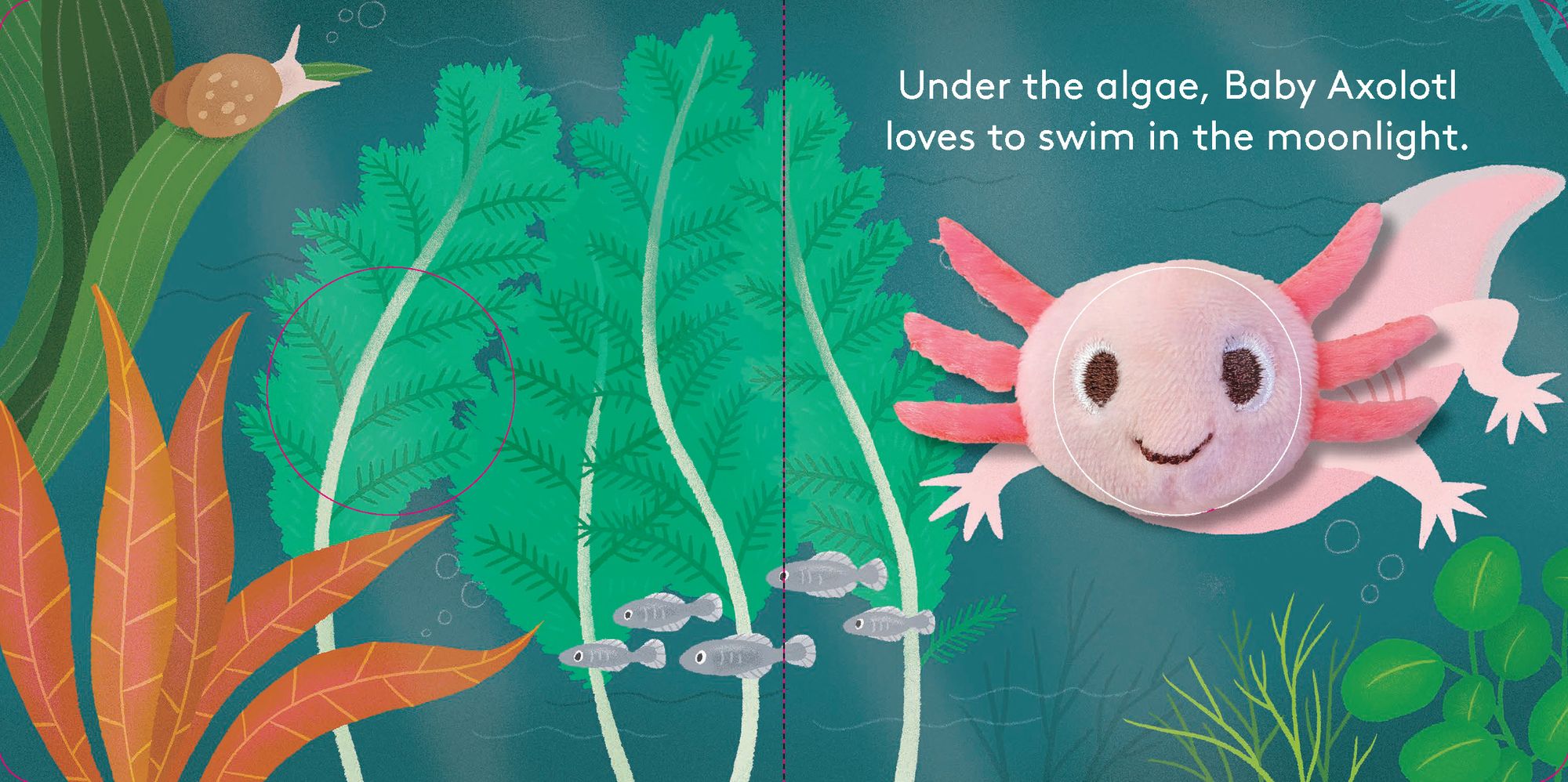 Baby Axolotl: Finger Puppet Book