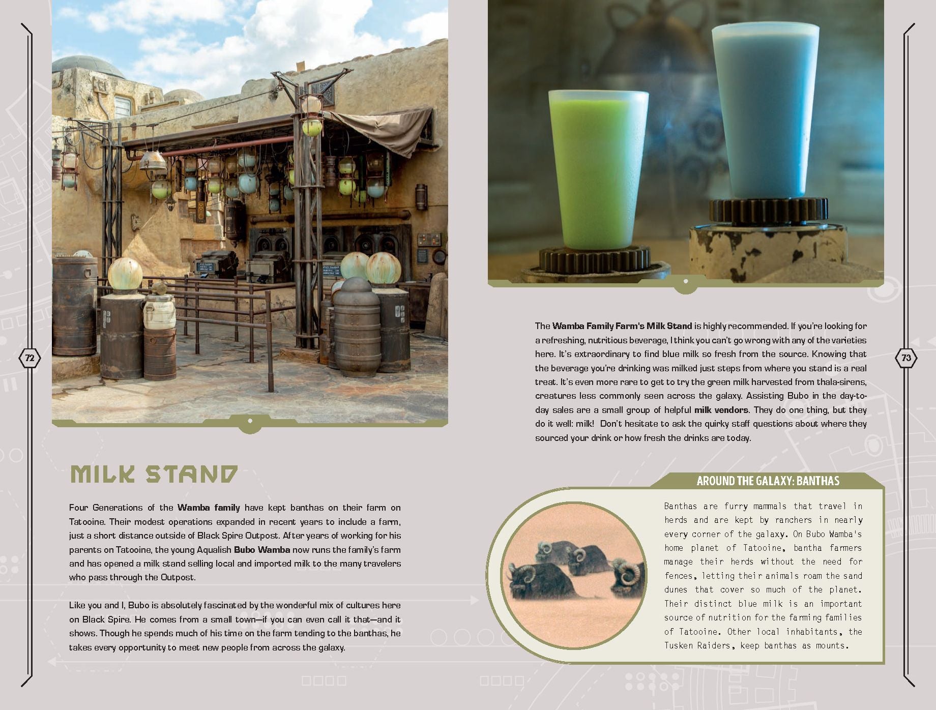 Star Wars: Galaxy's Edge: Traveler's Guide to Batuu