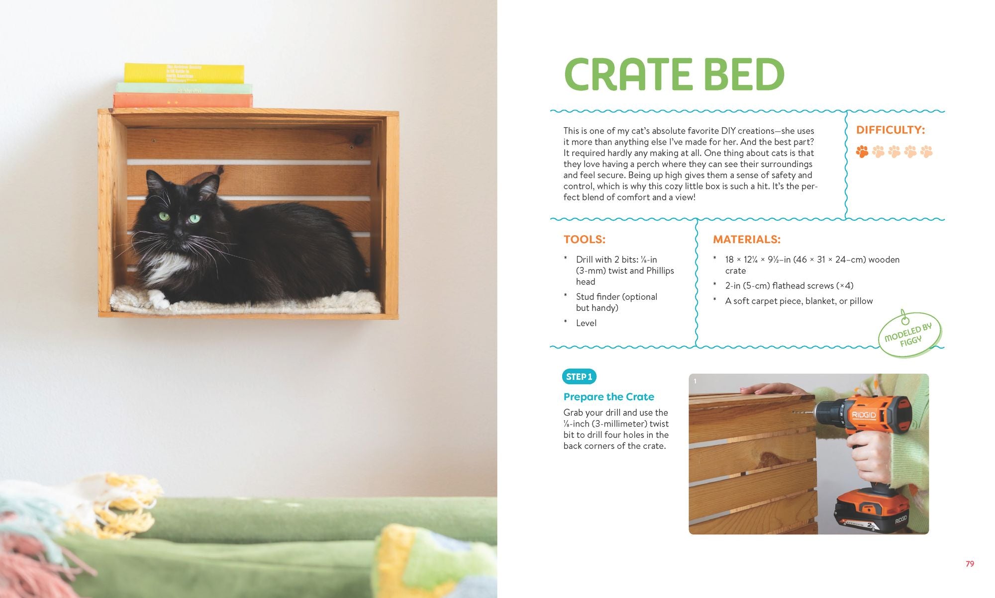 Crafting for Your Cat: 25 Playful Projects for You and Your Feline Friends