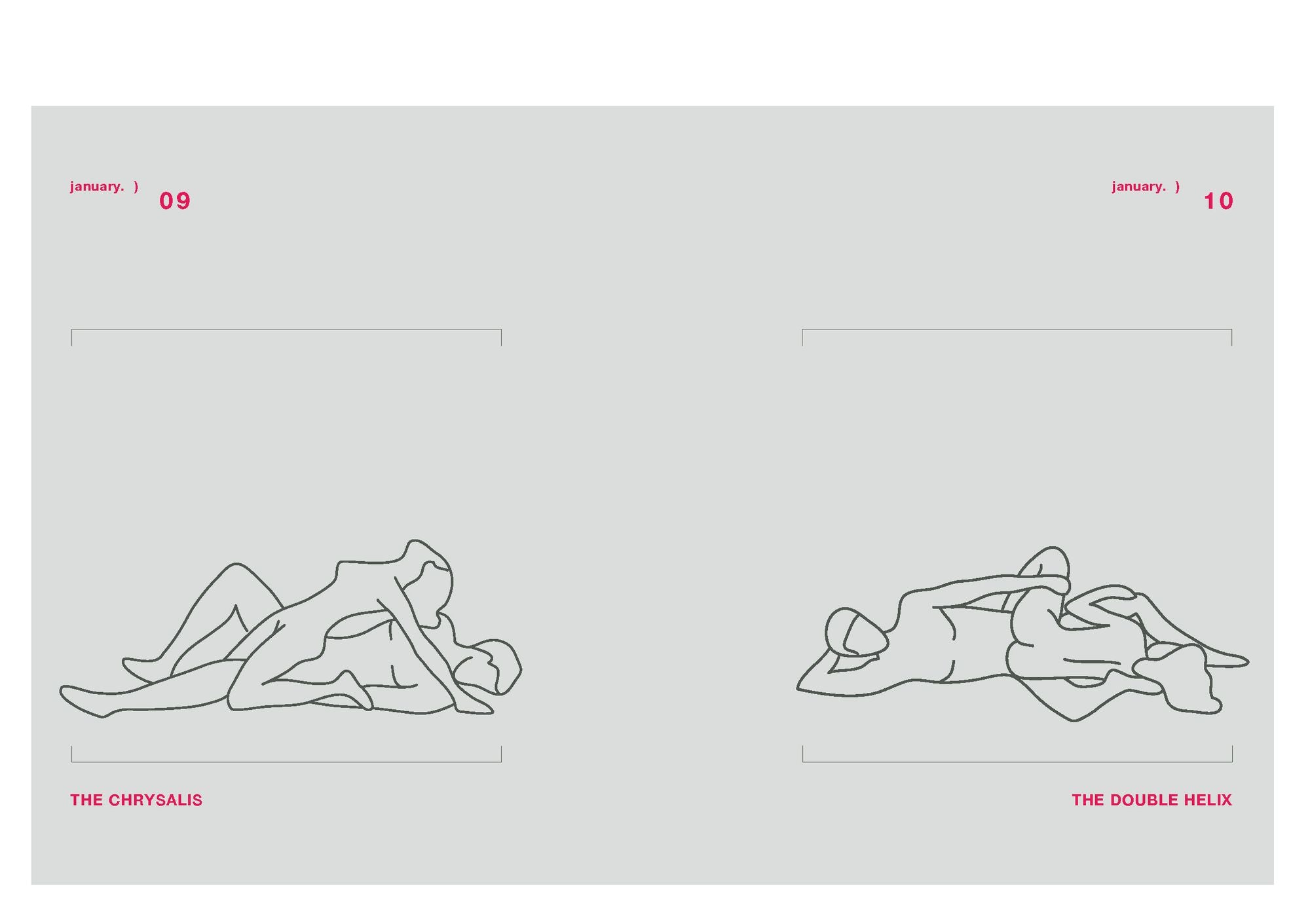 Position of the Day Revised and Updated: Sex Every Day in Every Way