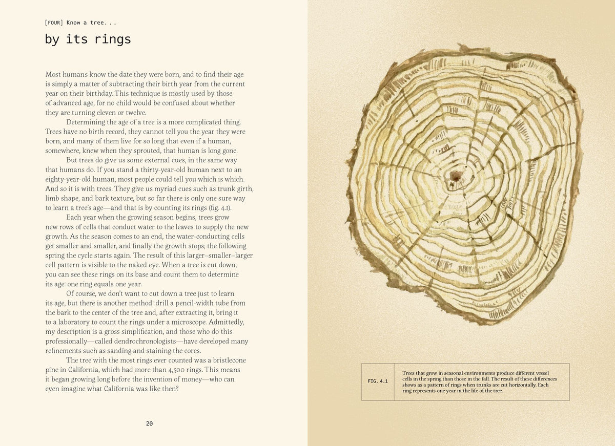 Forty Ways to Know a Tree: Exploring Trees to Understand Nature