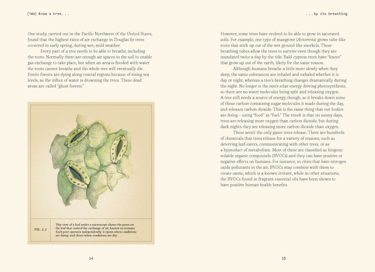 Forty Ways to Know a Tree: Exploring Trees to Understand Nature