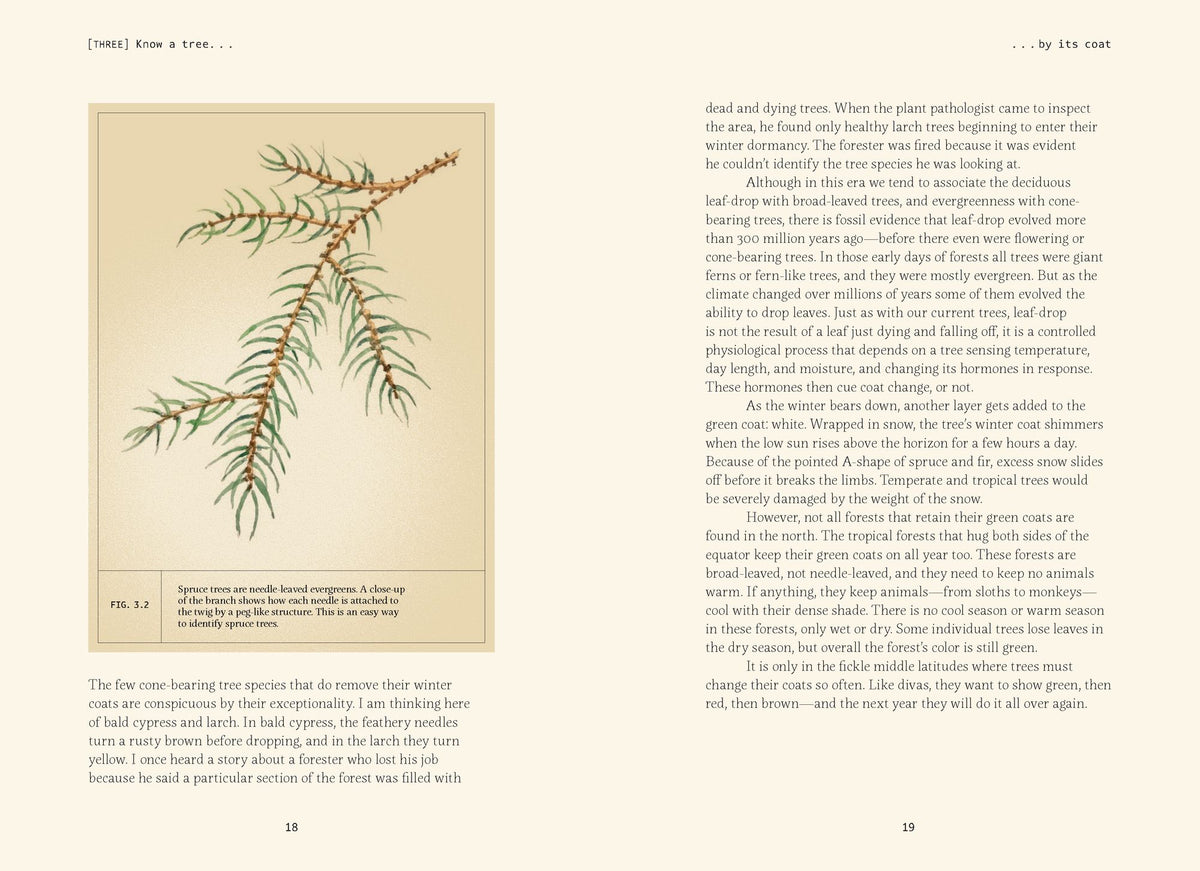 Forty Ways to Know a Tree: Exploring Trees to Understand Nature