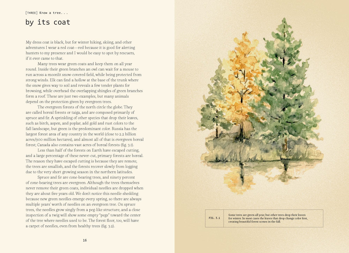 Forty Ways to Know a Tree: Exploring Trees to Understand Nature