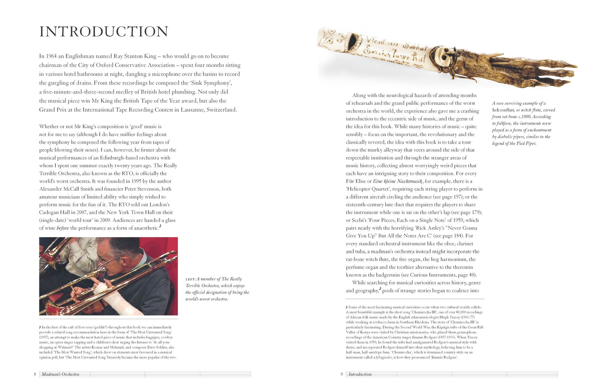 The Madman's Orchestra: The Greatest Curiosities from the History of Music
