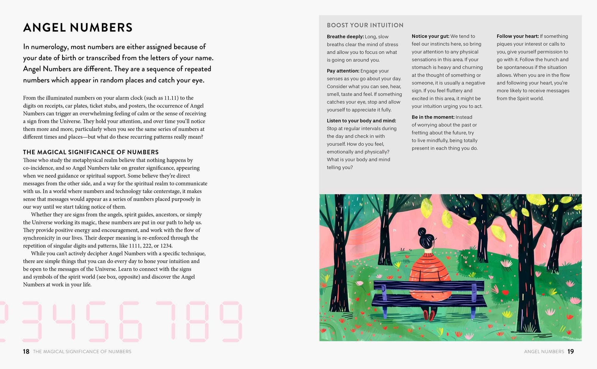 The Beginner's Guide to Numerology: Harness the energy of numbers to discover your personal power and manifest your best life