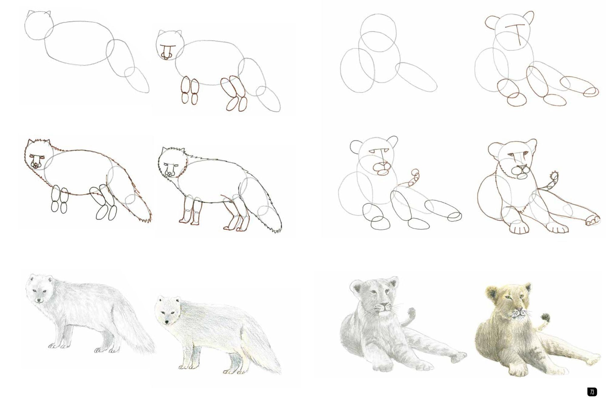 Draw 100: Animals: From basic shapes to amazing drawings in super-easy steps