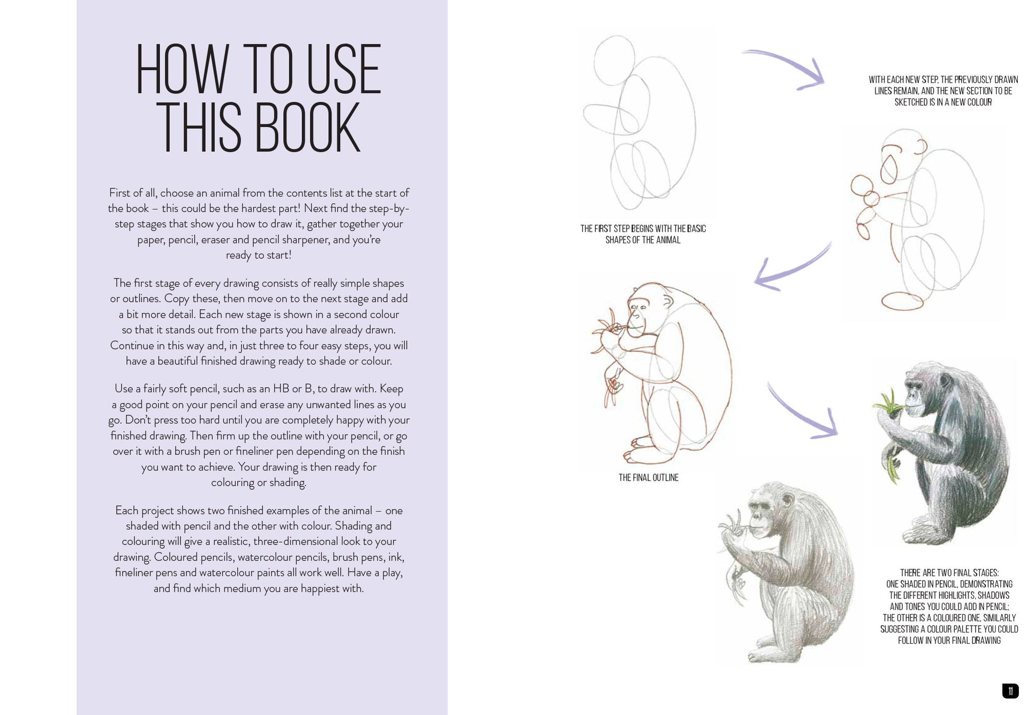 Draw 100: Animals: From basic shapes to amazing drawings in super-easy steps