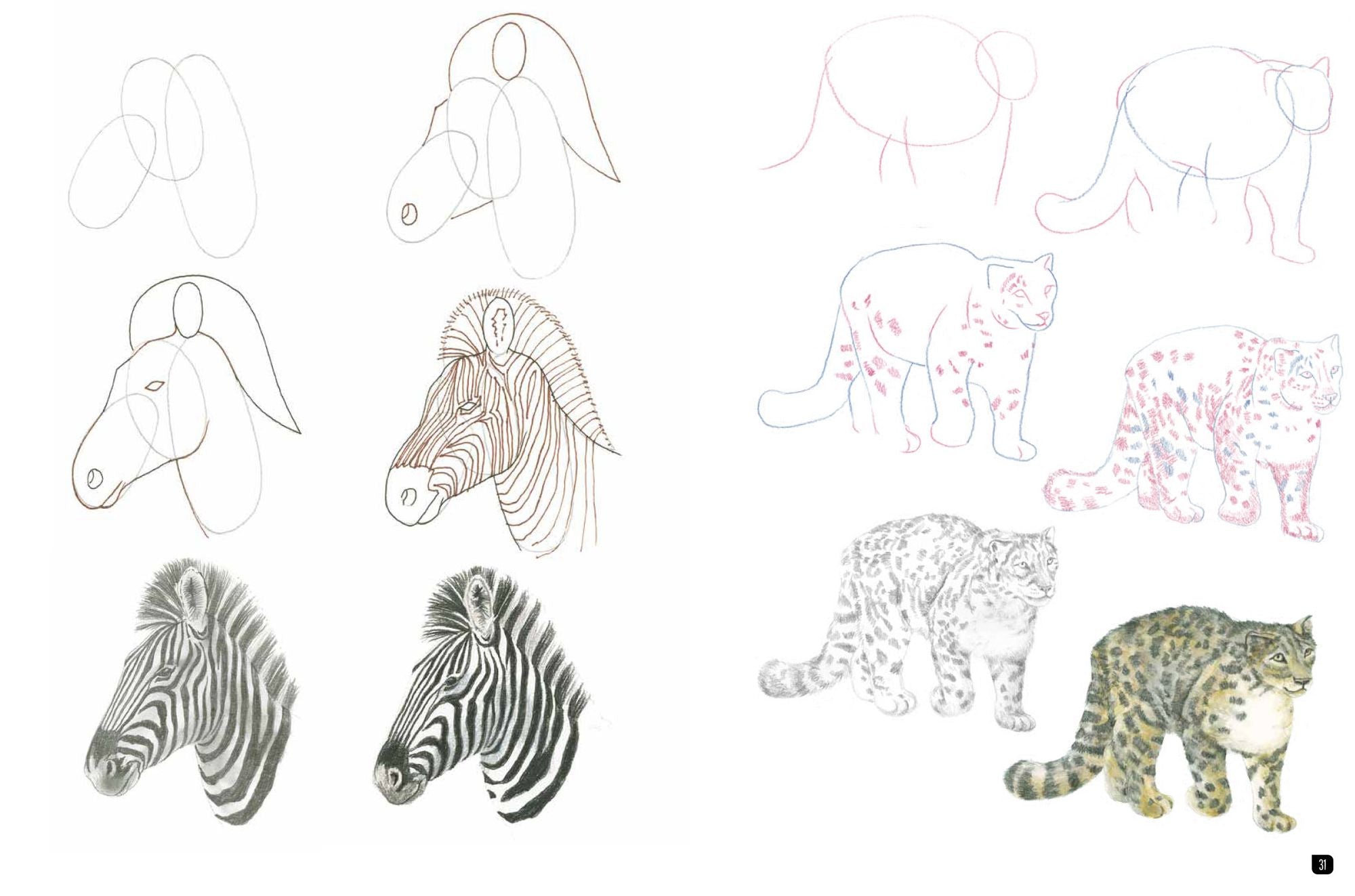 Draw 100: Animals: From basic shapes to amazing drawings in super-easy steps