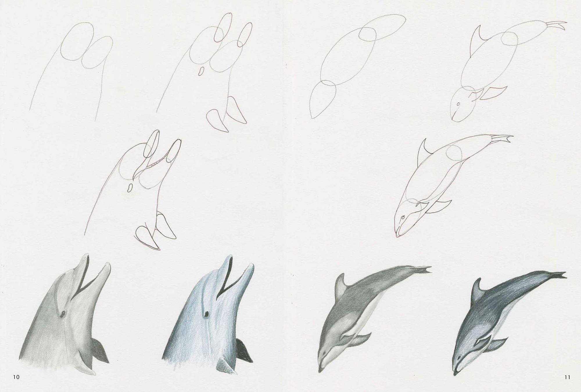 How to Draw Sea Creatures in Simple Steps