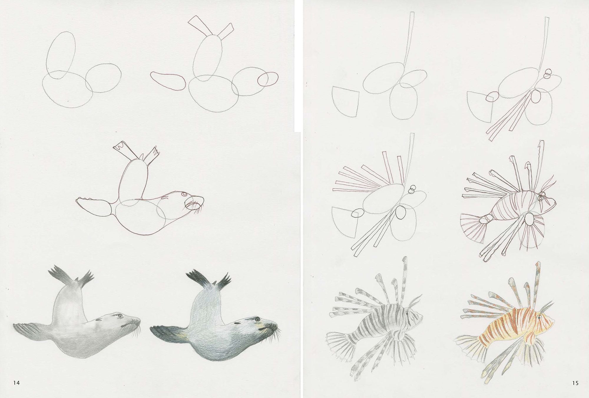 How to Draw Sea Creatures in Simple Steps