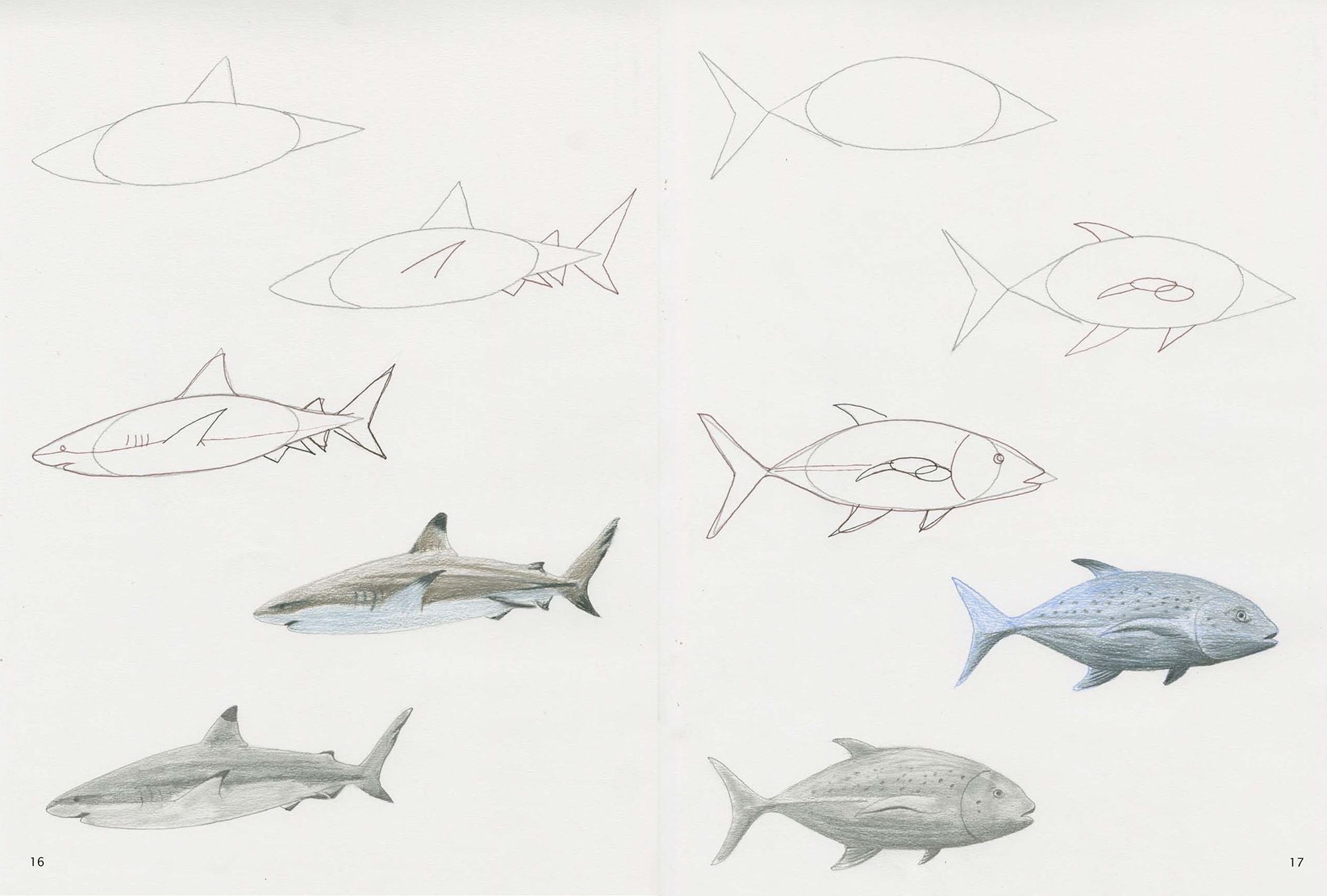 How to Draw Sea Creatures in Simple Steps