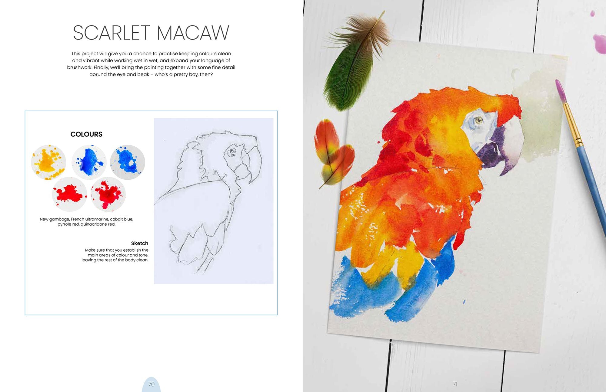 Simply Paint Birds: A complete watercolour course for beginners