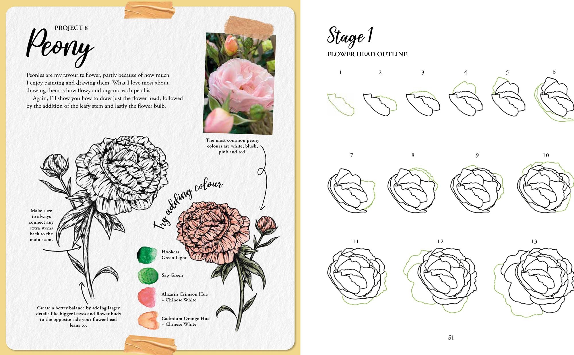 The Kew Book of Drawing Flora and Fauna: 20 stunning step-by-step tutorials