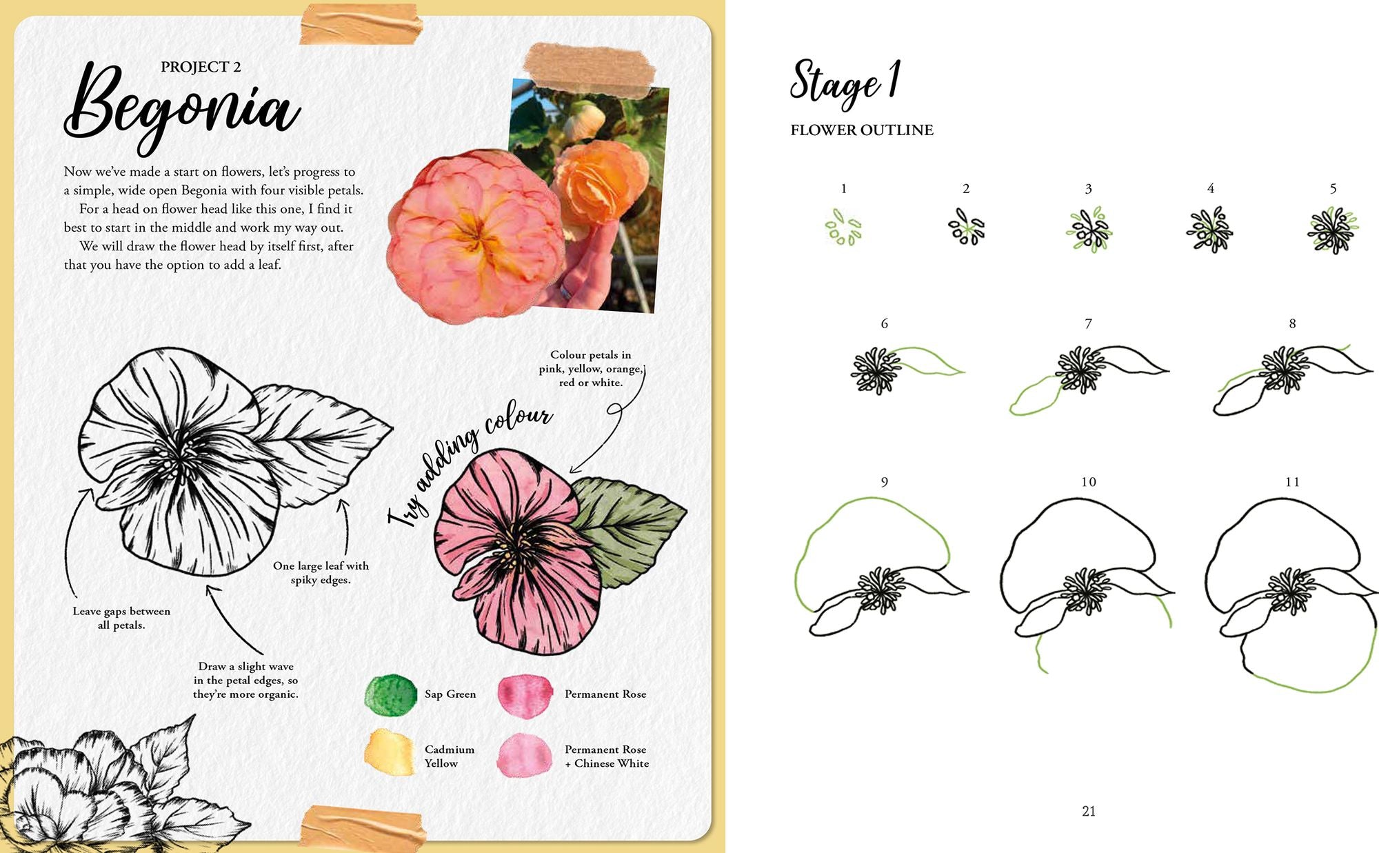 The Kew Book of Drawing Flora and Fauna: 20 stunning step-by-step tutorials