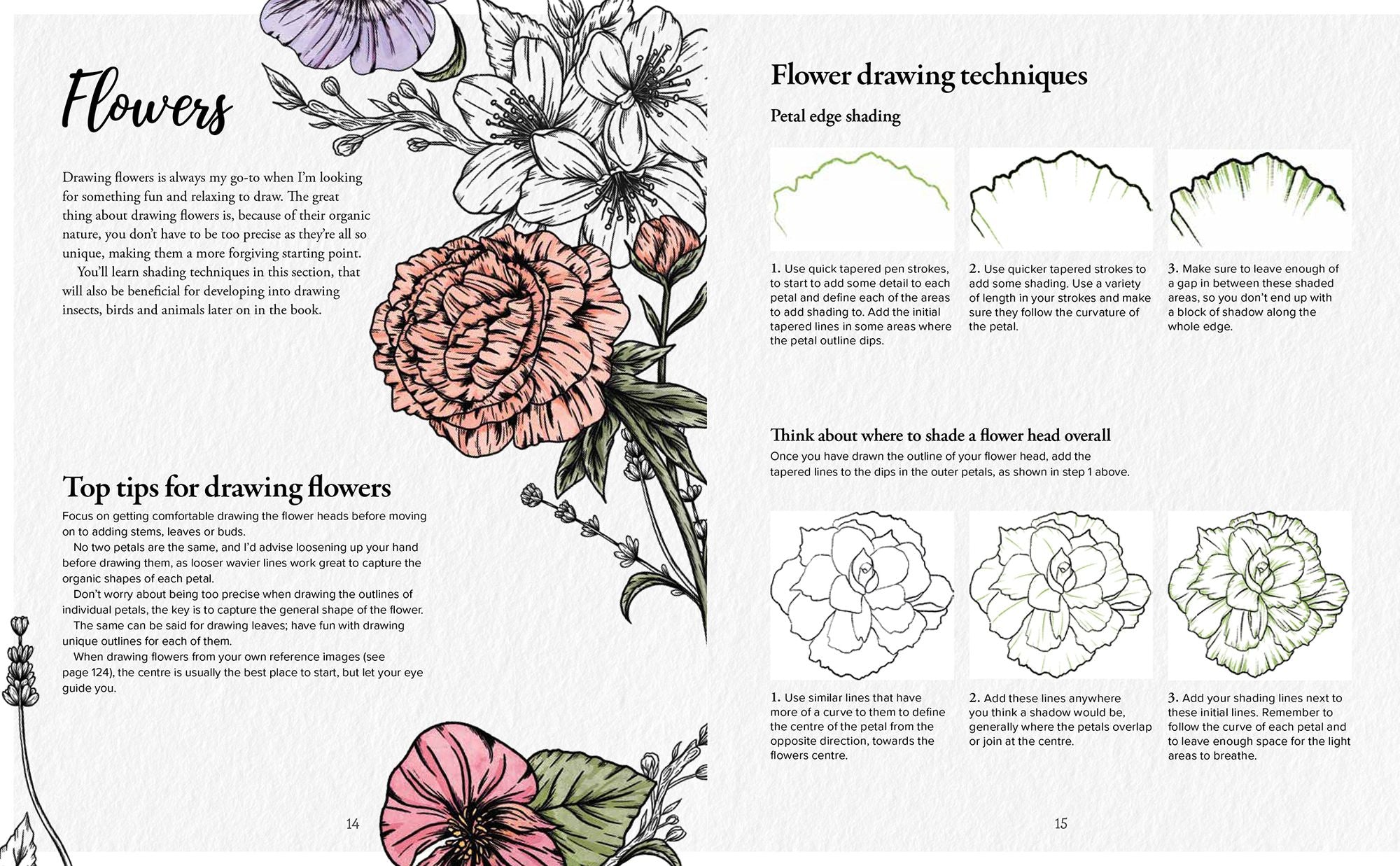 The Kew Book of Drawing Flora and Fauna: 20 stunning step-by-step tutorials