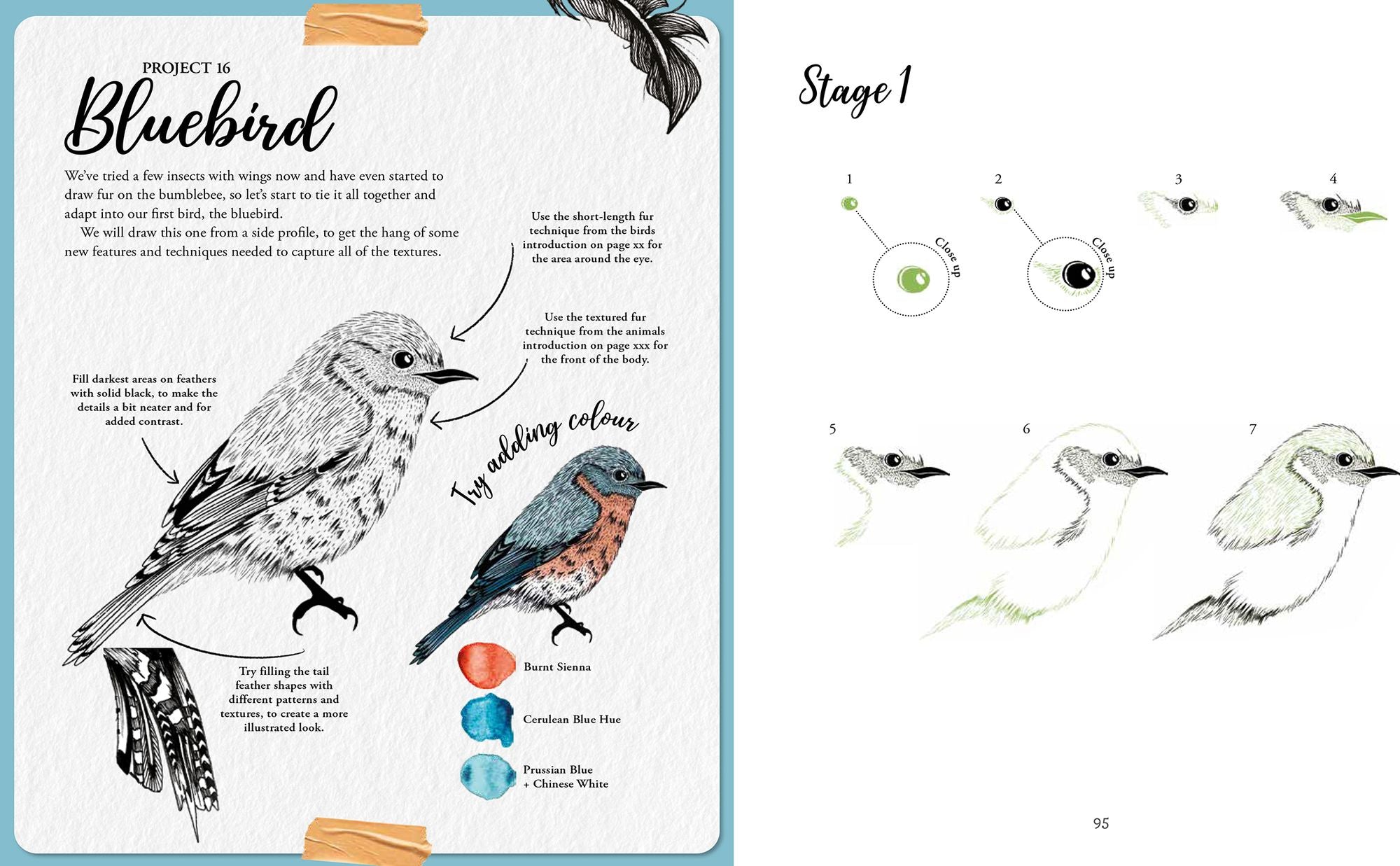 The Kew Book of Drawing Flora and Fauna: 20 stunning step-by-step tutorials