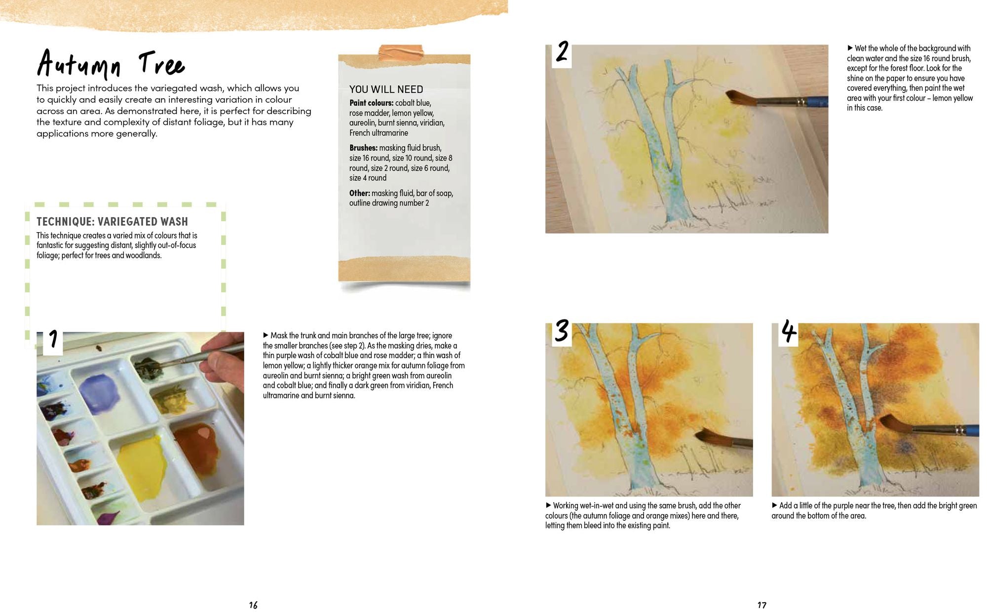 Ready to Paint Postcards: Woodlands: 15 stunning watercolour paintings to create in just 30 minutes