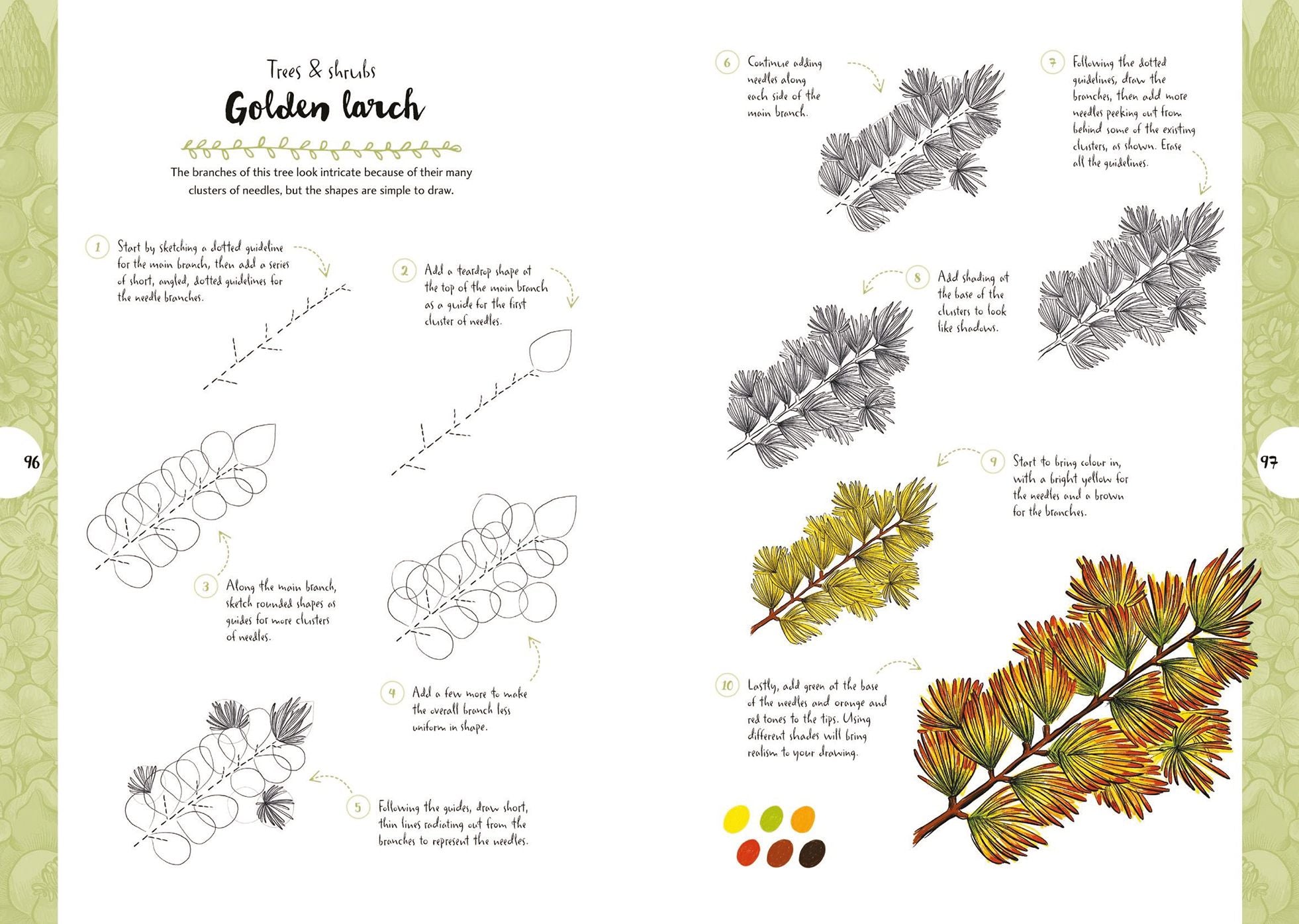 10 Step Drawing: Botanicals: Draw over 50 plants in 10 easy steps