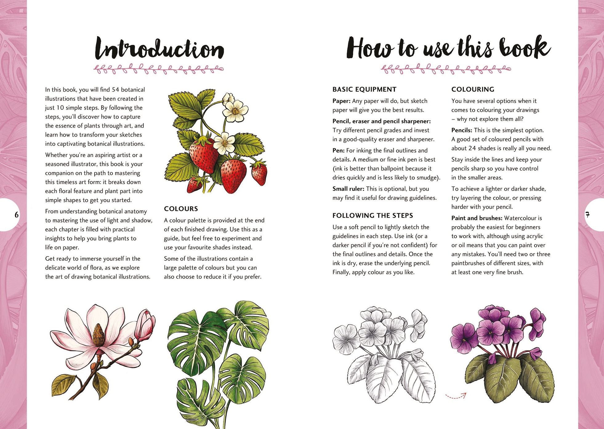 10 Step Drawing: Botanicals: Draw over 50 plants in 10 easy steps