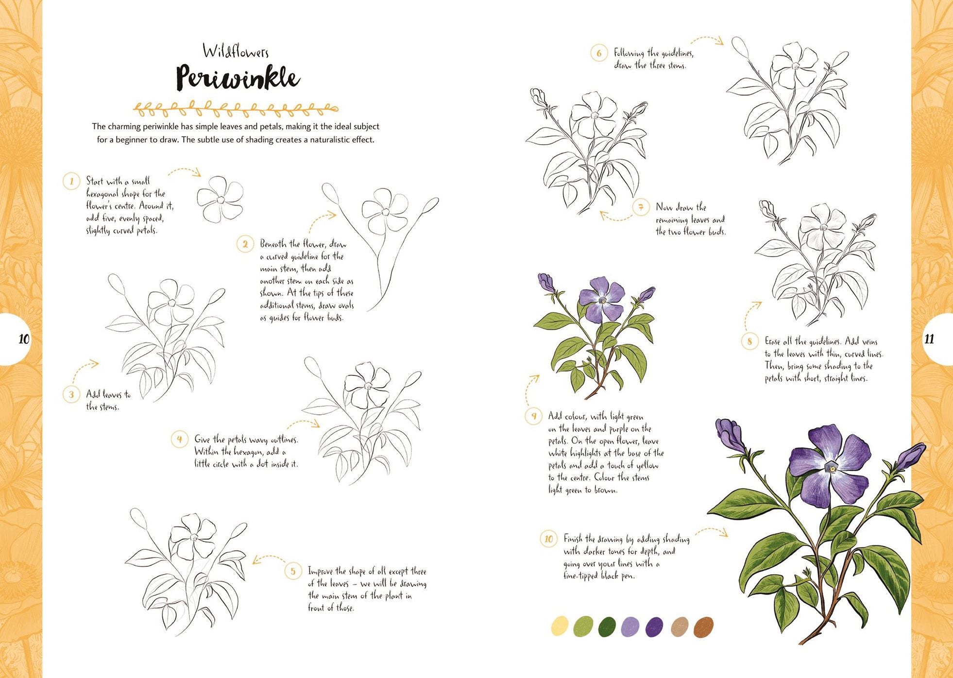 10 Step Drawing: Botanicals: Draw over 50 plants in 10 easy steps