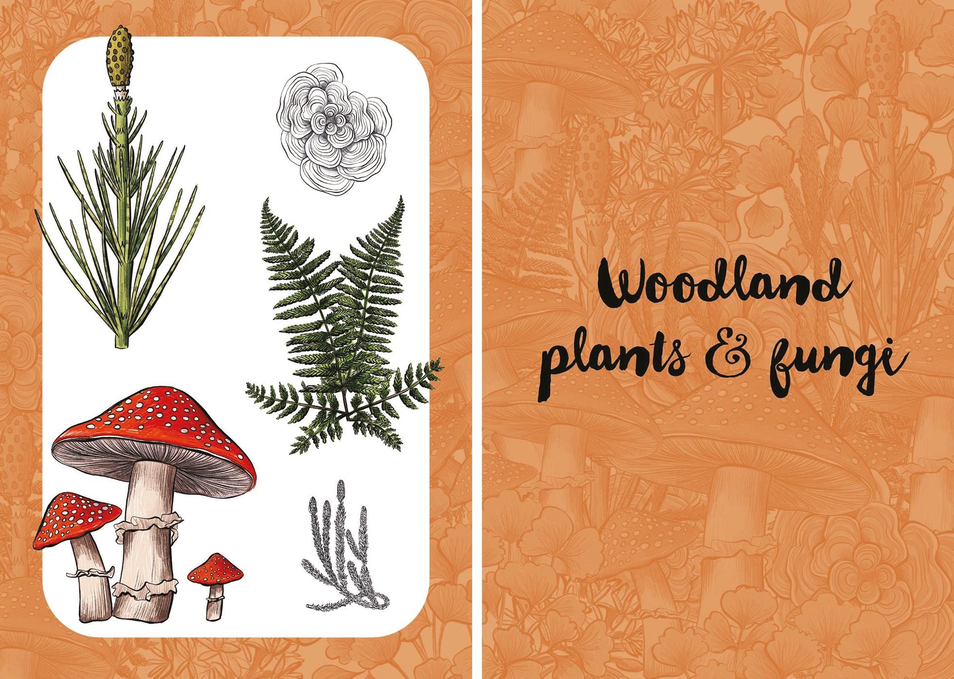 10 Step Drawing: Botanicals: Draw over 50 plants in 10 easy steps