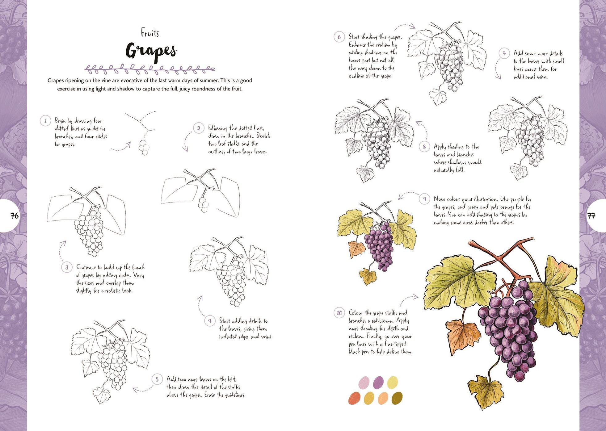 10 Step Drawing: Botanicals: Draw over 50 plants in 10 easy steps