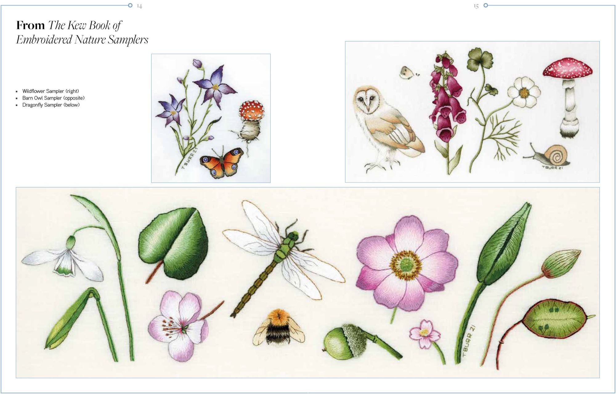Trish Burr's Nature Embroidery Transfers: 75 iron-on designs