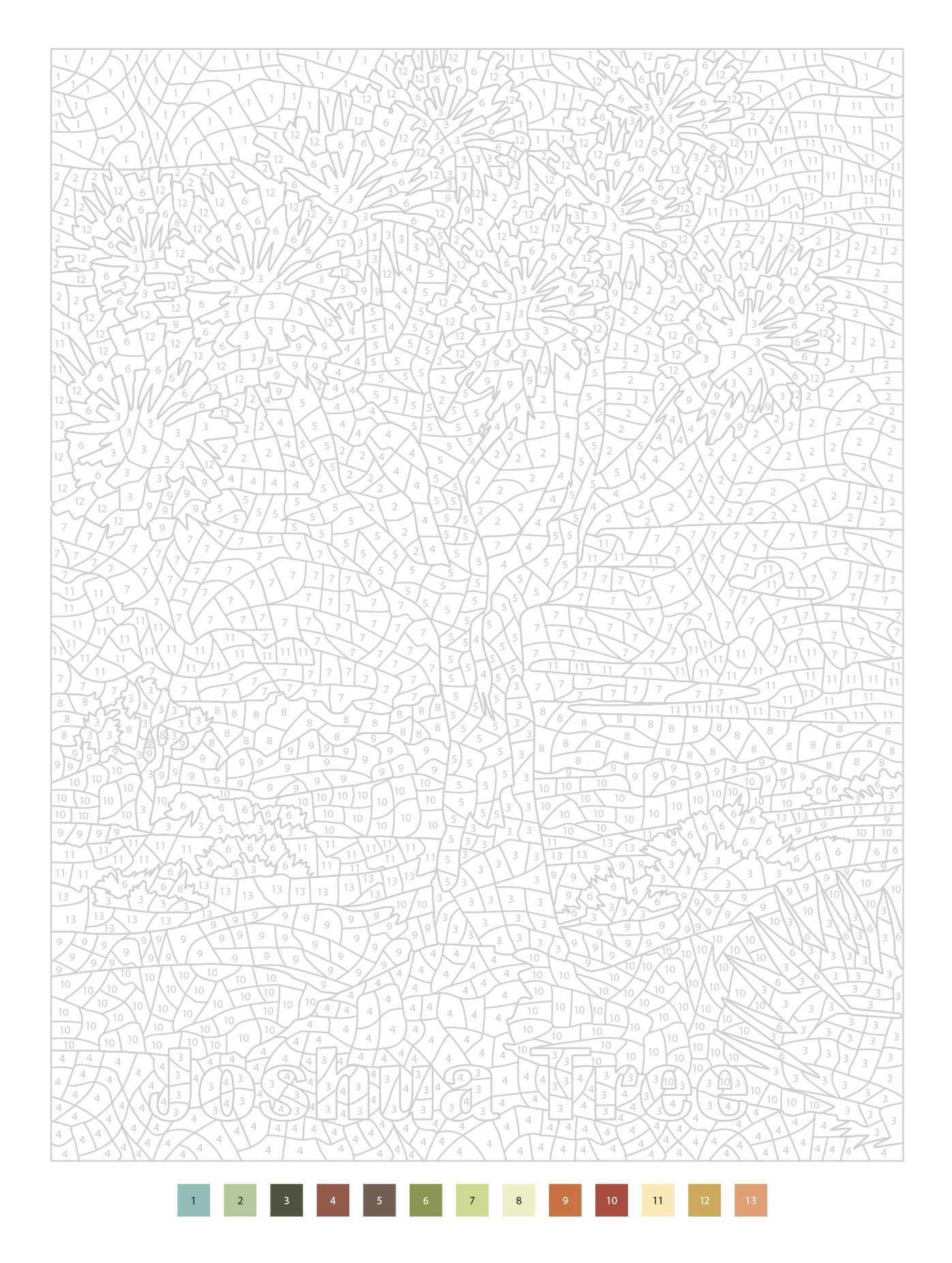 Color by Numbers US National Parks: 40 mystery pictures to reveal