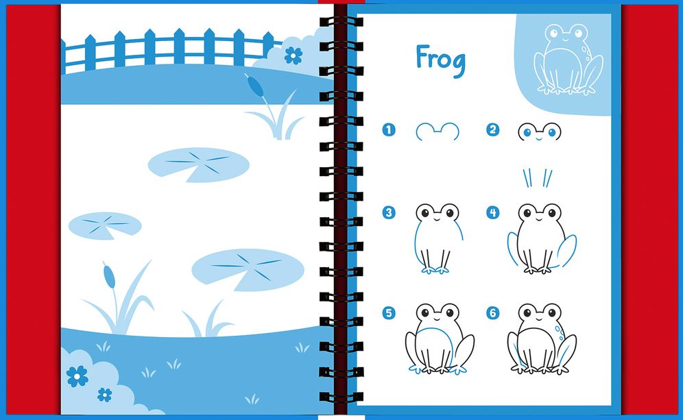 Wipe-Clean How to Draw Animals