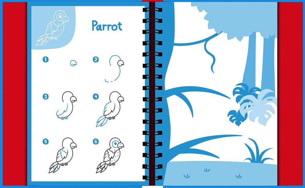 Wipe-Clean How to Draw Animals