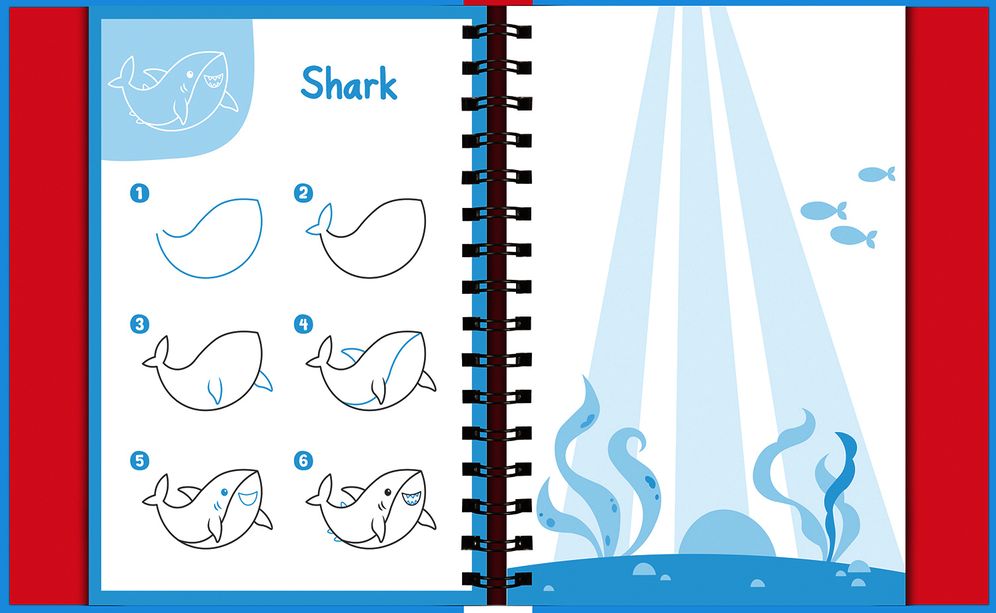 Wipe-Clean How to Draw Animals