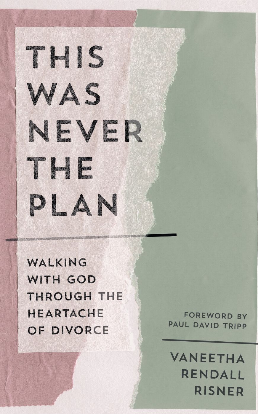 This Was Never the Plan: Walking with God Through the Heartache of Divorce