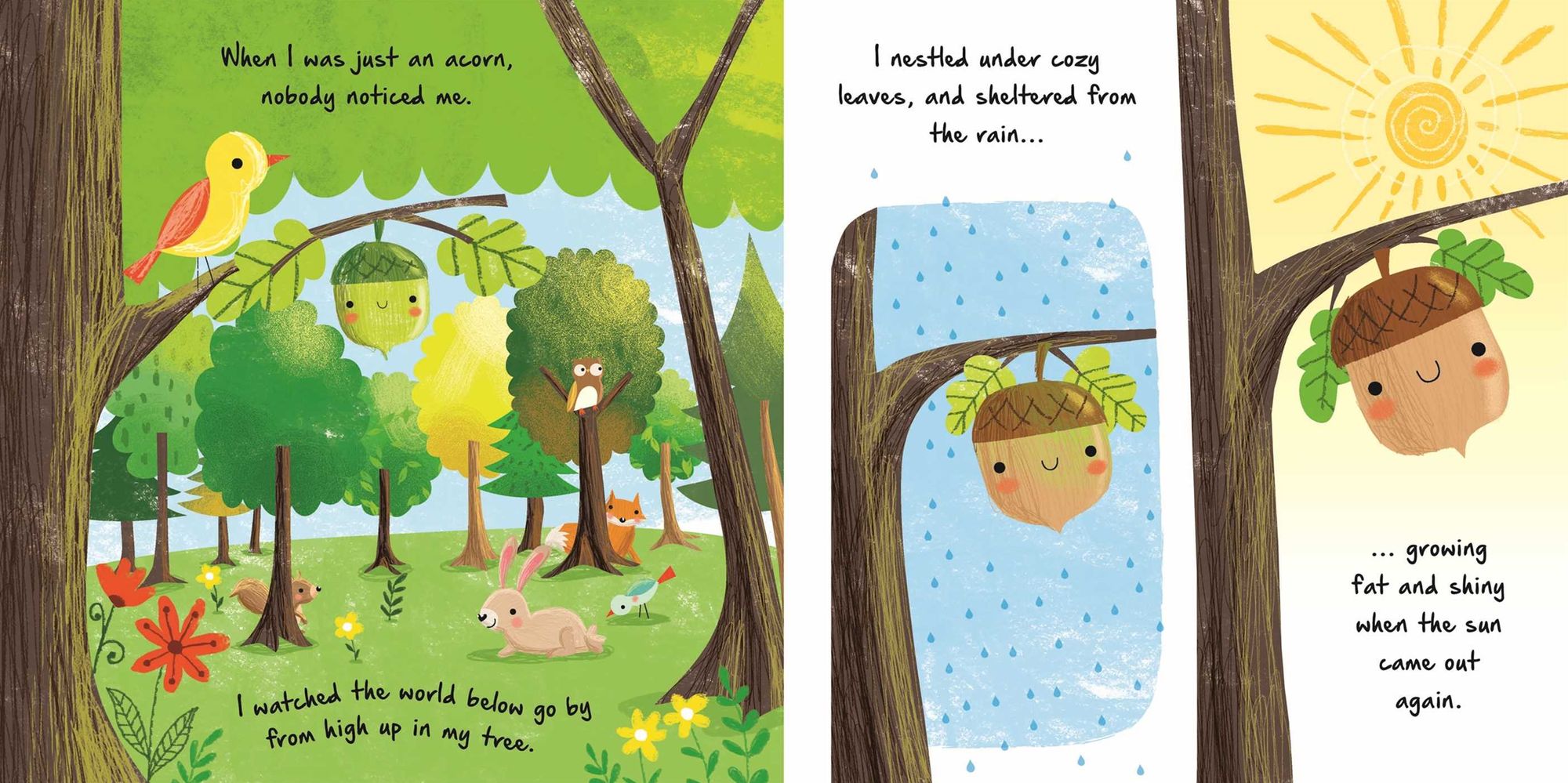 Nature Stories: Little Acorn-Discover an Amazing Story from the Natural World: Padded Board Book