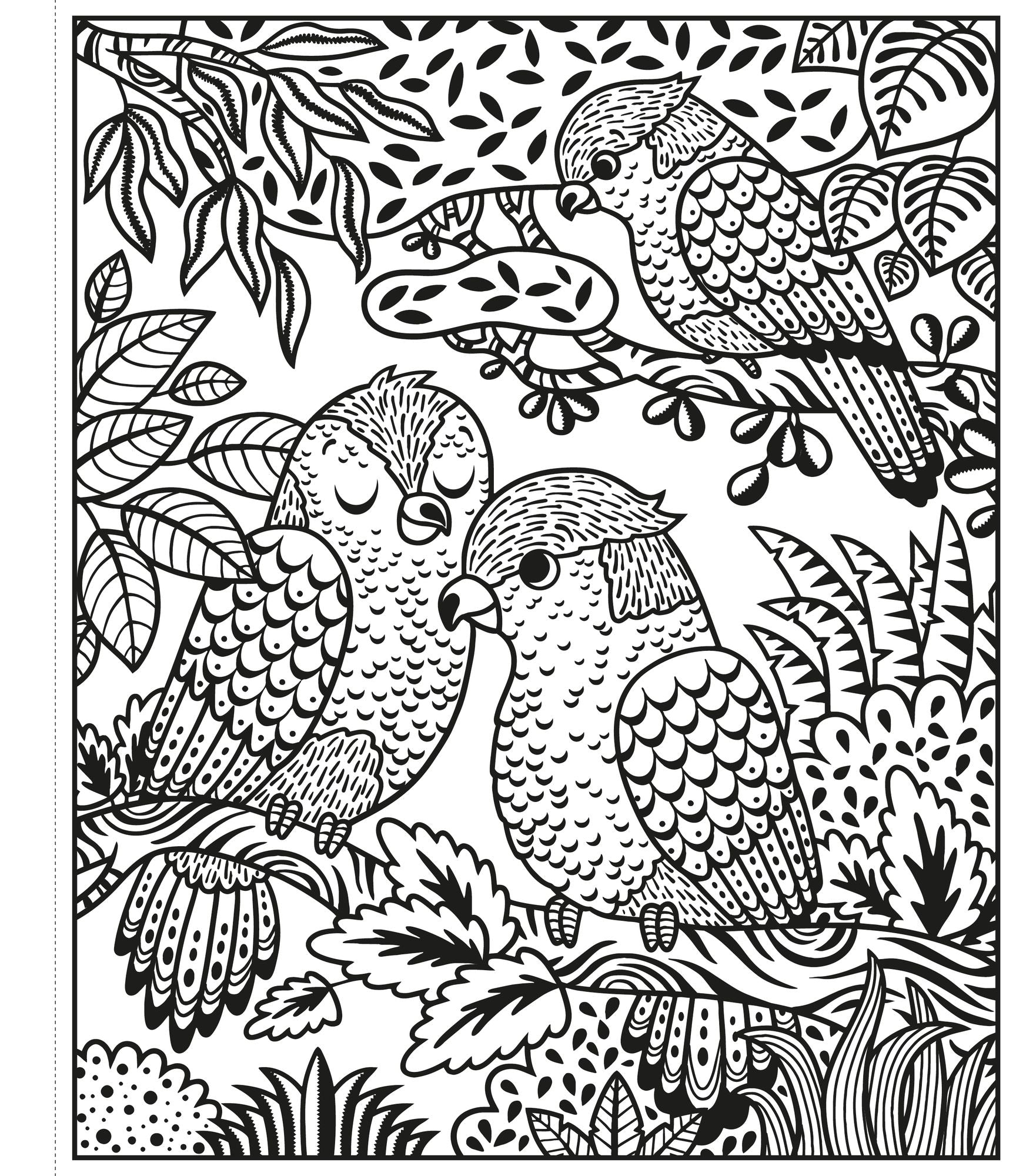 Zoo Magic Painting Book
